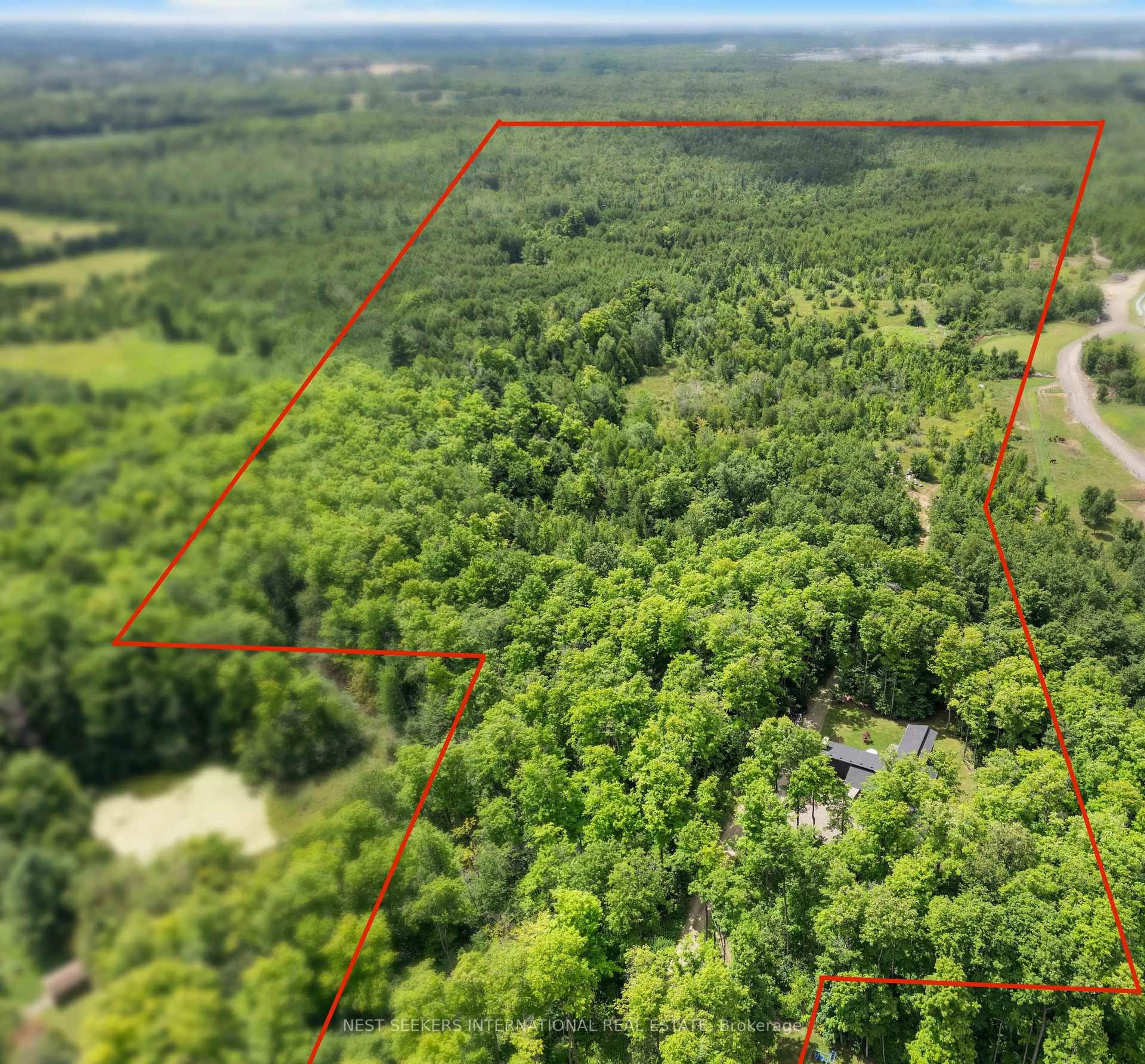 A pic from outside/outdoor area/front of a property/back of a property/a pic from drone, forest/trees view for 4386 Watson Rd, Puslinch Ontario N0B 2J0