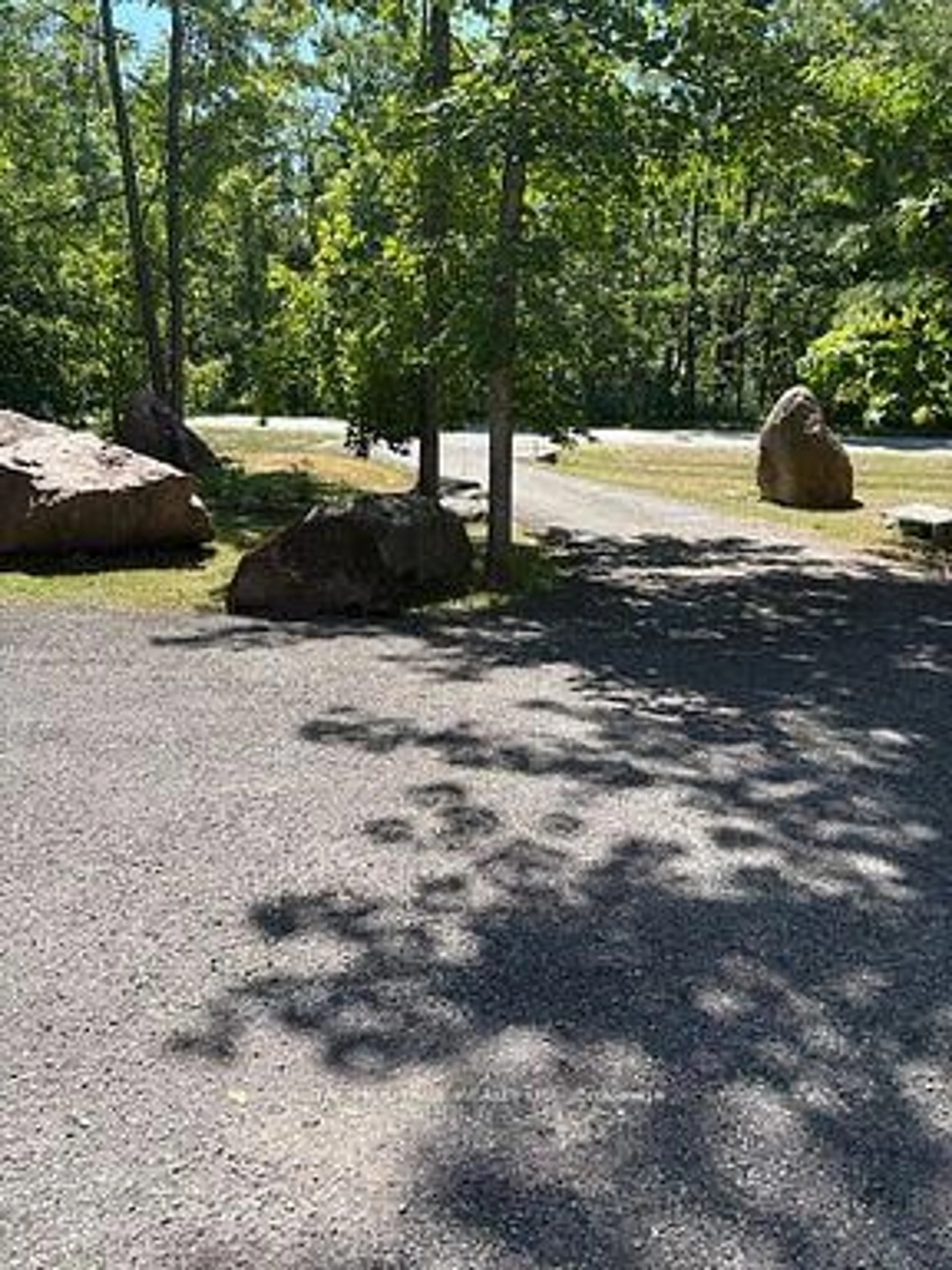 Patio, unknown for 134 Mitchell Cres, Trent Lakes Ontario K0L 1J0