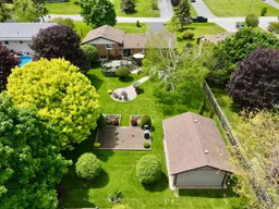 history photo preview