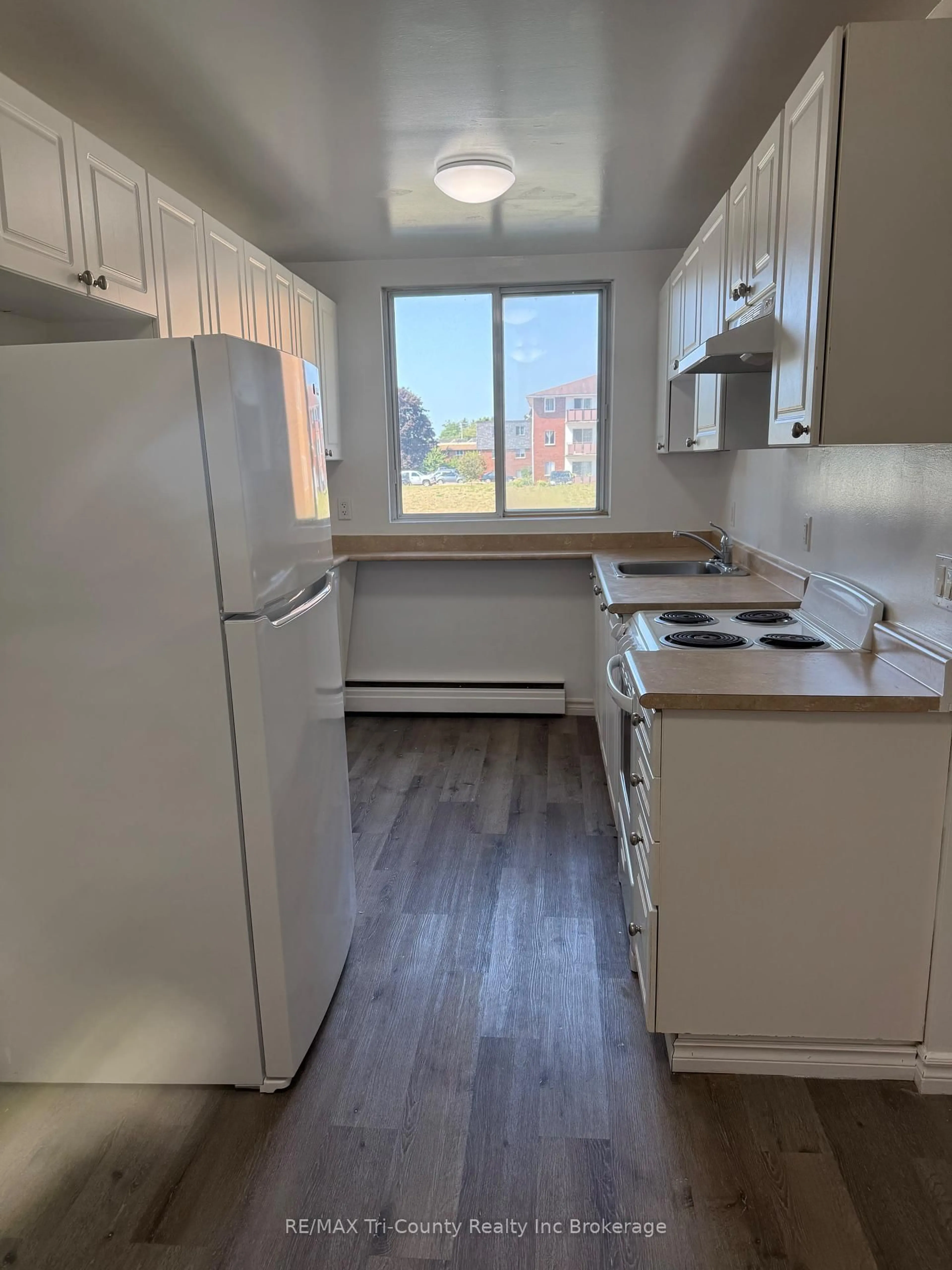 Standard kitchen, unknown for 191 Lisgar Ave #105, Tillsonburg Ontario N4G 3L5