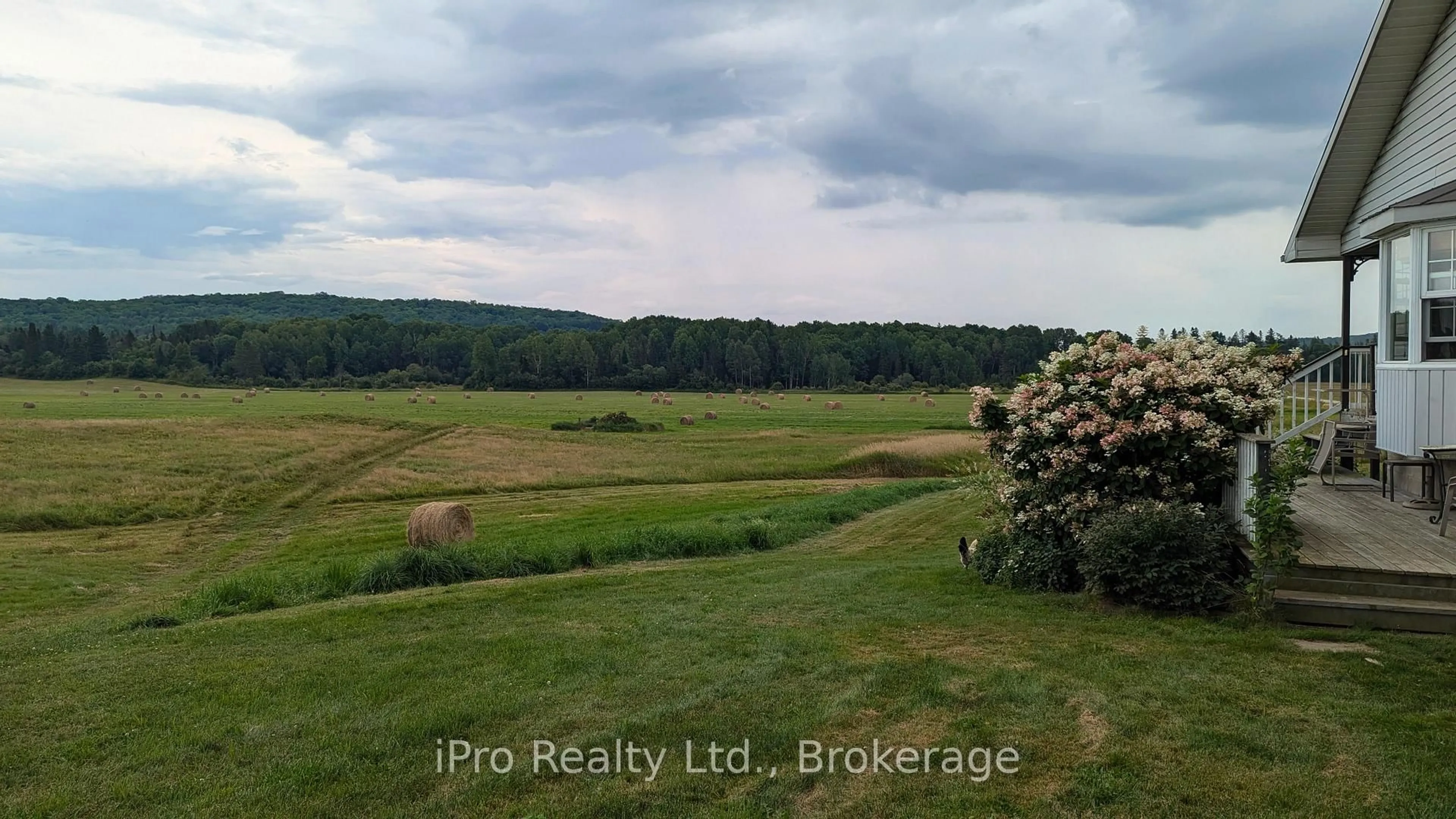 A pic from outside/outdoor area/front of a property/back of a property/a pic from drone, forest/trees view for 771 Leggetts Rd, Armour Ontario P0A 1C0