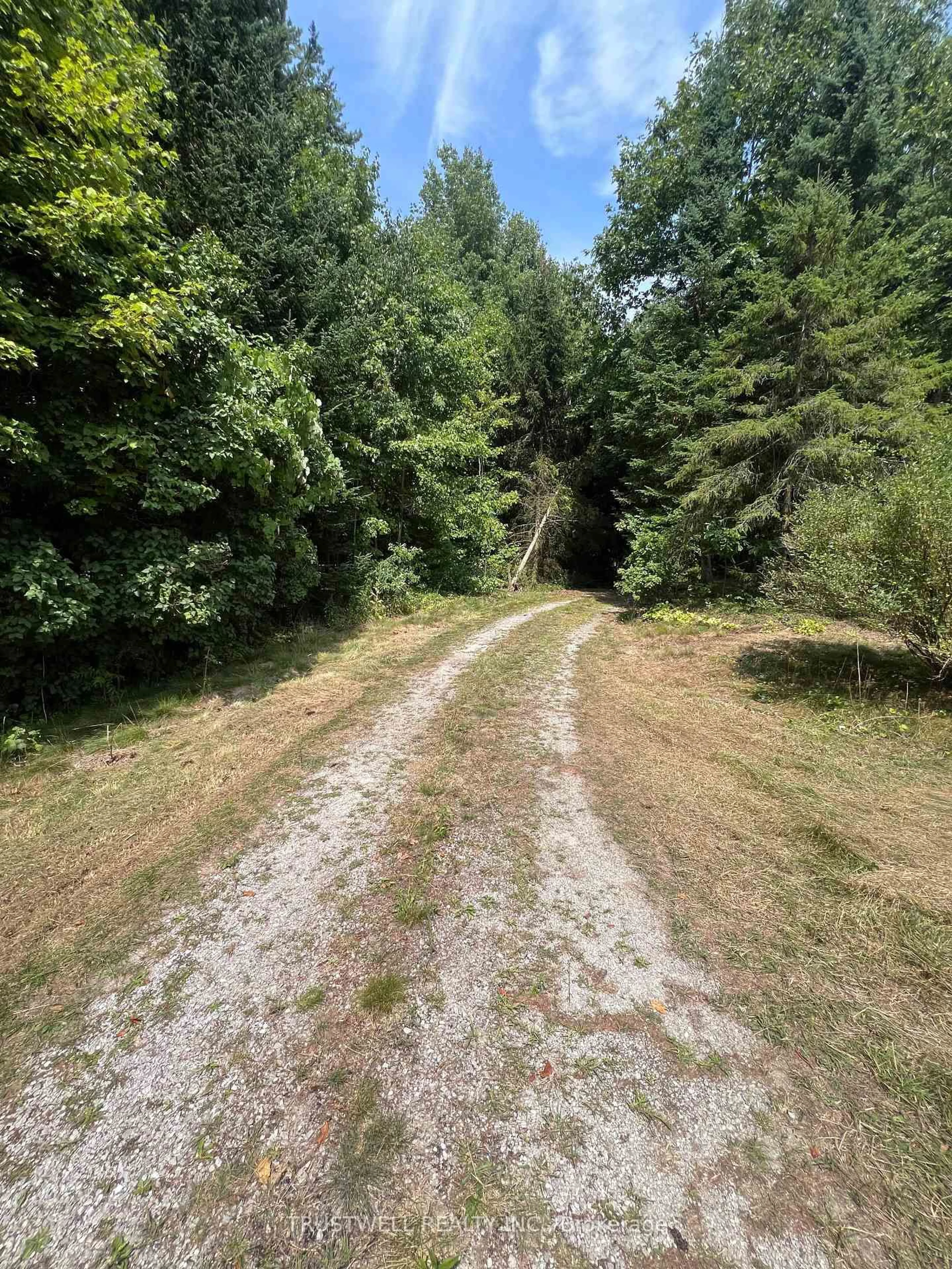 A pic from outside/outdoor area/front of a property/back of a property/a pic from drone, forest/trees view for 1095 Forestry Farm Rd, Norfolk Ontario N3Y 4K5