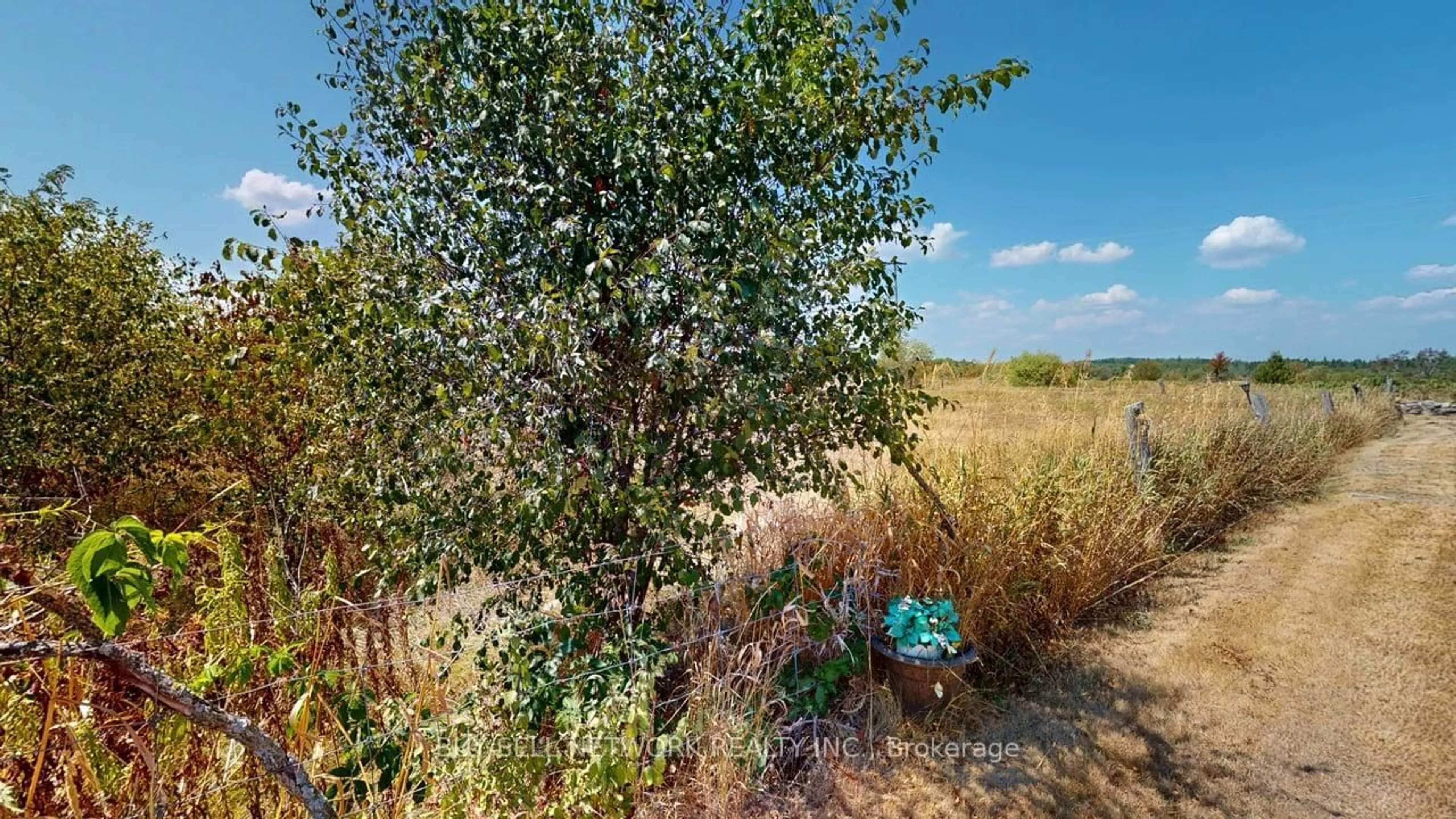 A pic from outside/outdoor area/front of a property/back of a property/a pic from drone, forest/trees view for 3435 Baseline Rd, Otonabee-South Monaghan Ontario K0L 2G0