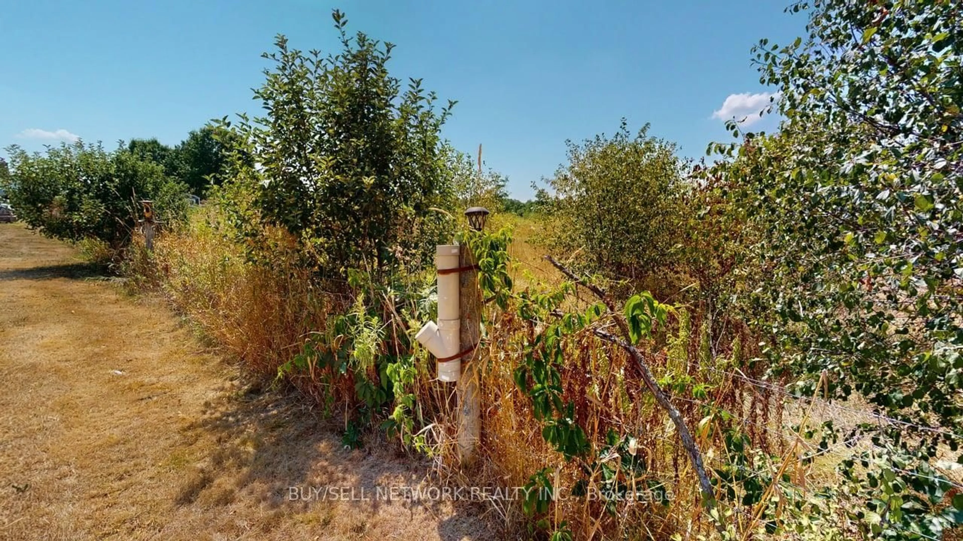 A pic from outside/outdoor area/front of a property/back of a property/a pic from drone, forest/trees view for 3435 Baseline Rd, Otonabee-South Monaghan Ontario K0L 2G0