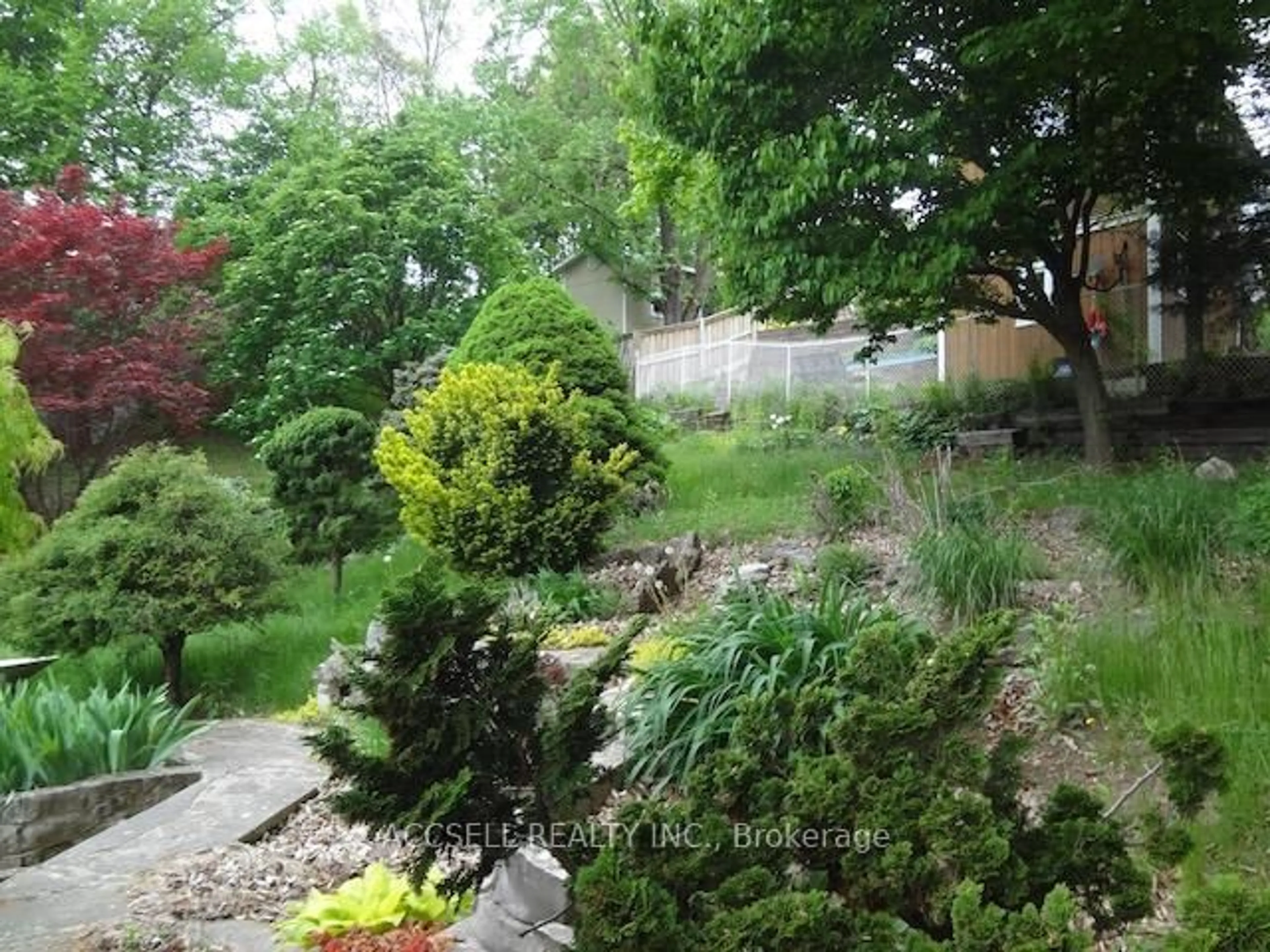 A pic from outside/outdoor area/front of a property/back of a property/a pic from drone, forest/trees view for 554 Fountain St, Cambridge Ontario N3H 1J3
