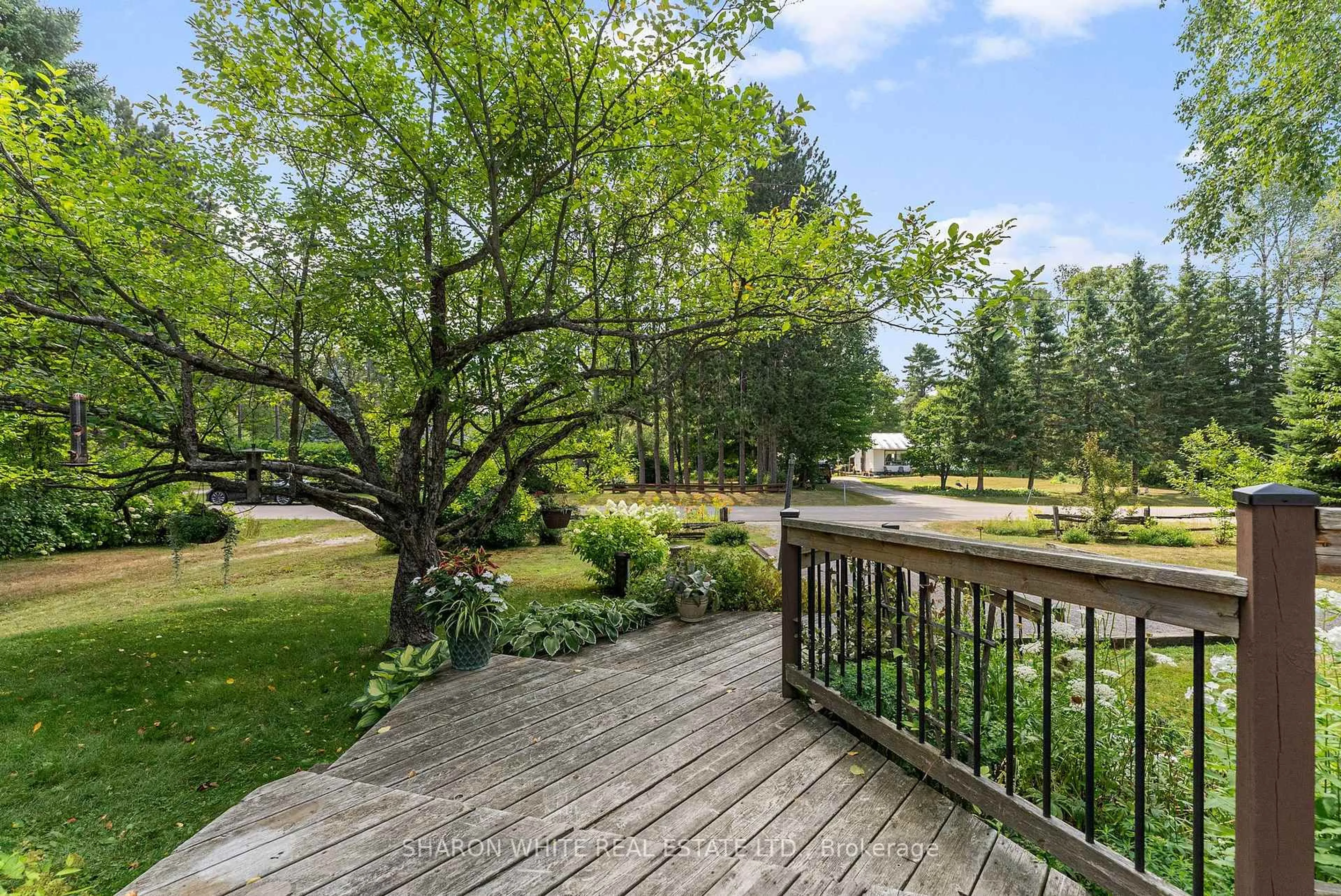 Patio, forest/trees view for 63 Buck Hill Rd, Bancroft Ontario K0L 1C0