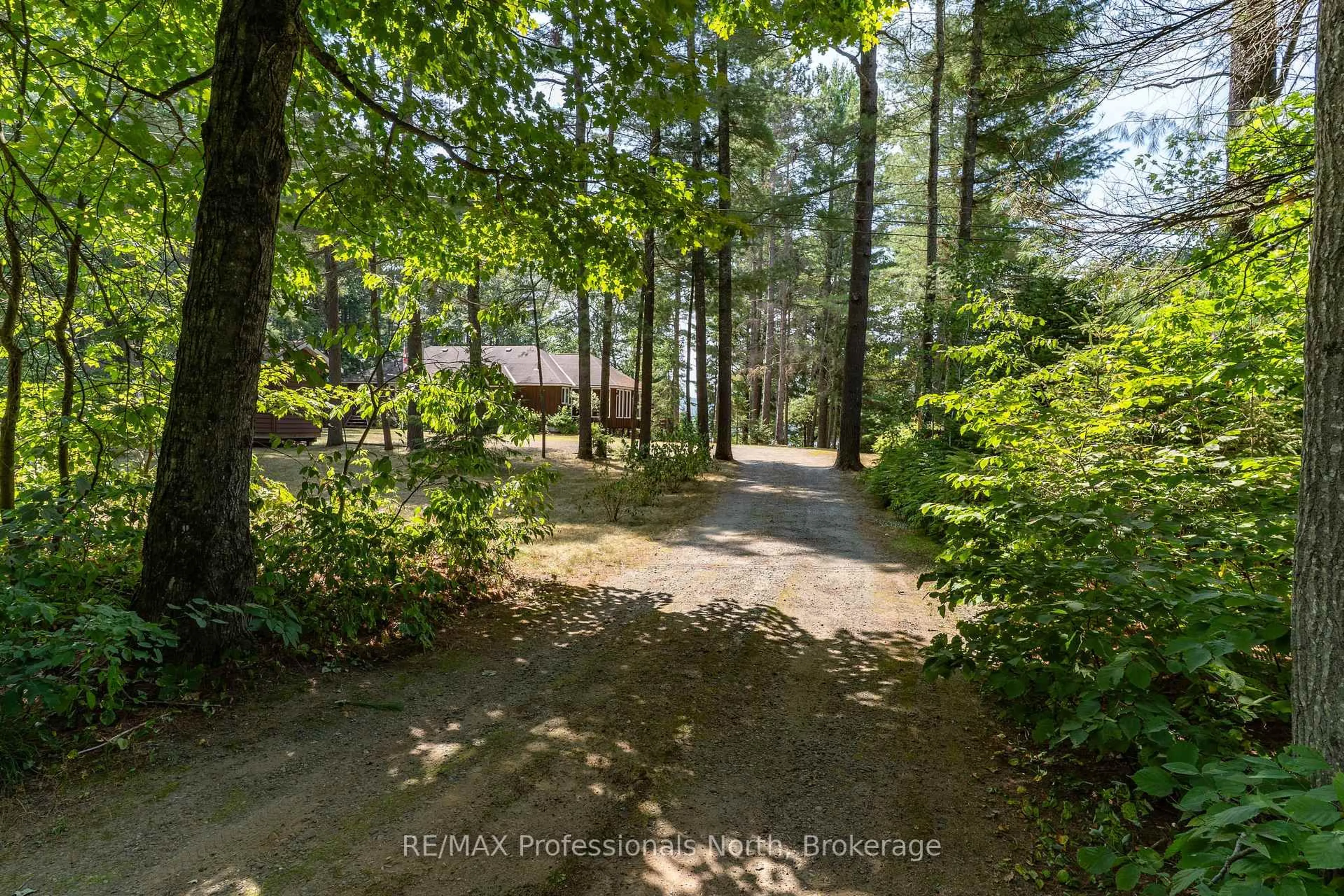 A pic from outside/outdoor area/front of a property/back of a property/a pic from drone, forest/trees view for 1140 Seabreeze Rd, Lake of Bays Ontario P0A 1H0