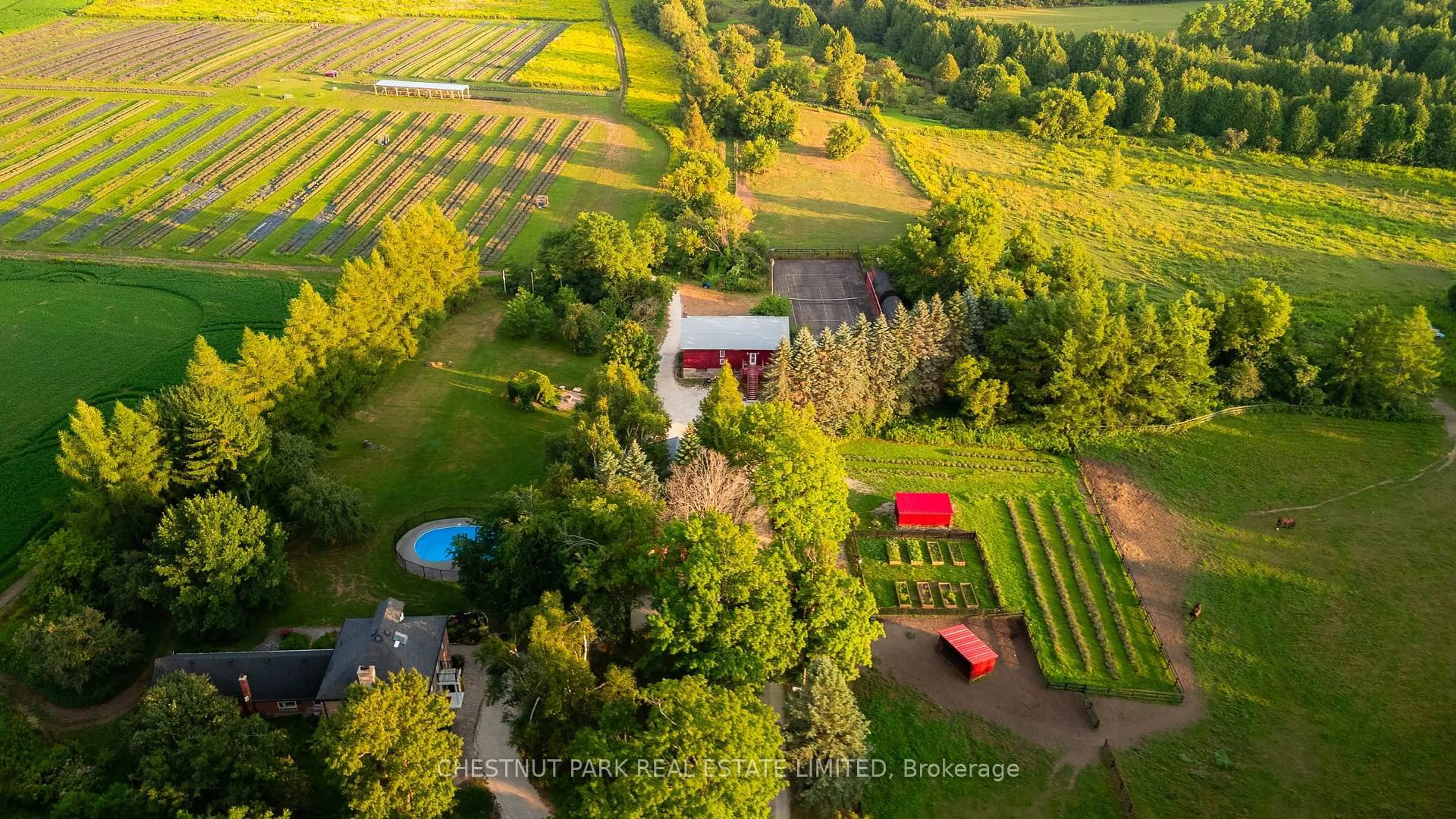 A pic from outside/outdoor area/front of a property/back of a property/a pic from drone, unknown for 347036 Mono Centre Rd, Mono Ontario L9W 6S2