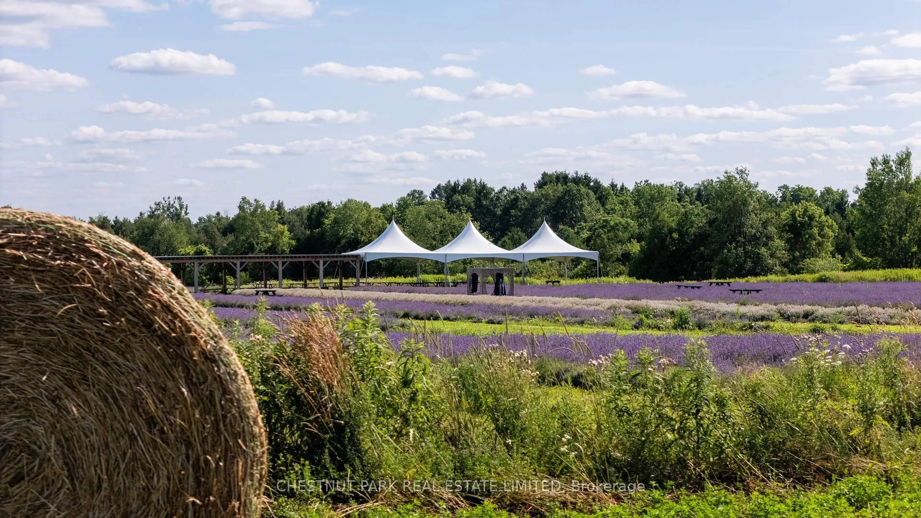 Unknown for 347036 Mono Centre Rd, Mono Ontario L9W 6S2
