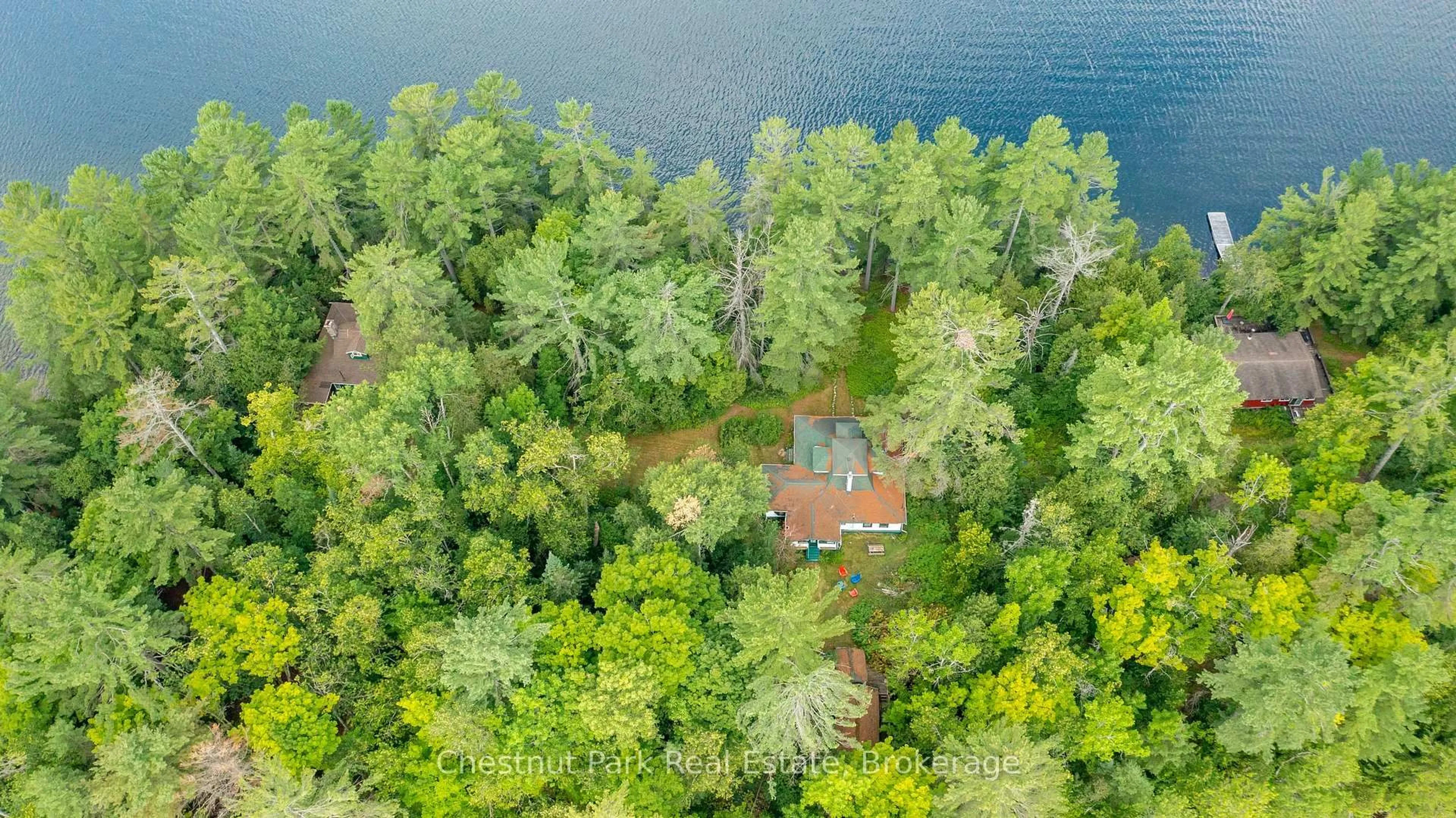 A pic from outside/outdoor area/front of a property/back of a property/a pic from drone, water/lake/river/ocean view for 4 Hills Island, Lake of Bays Ontario P0B 1A0