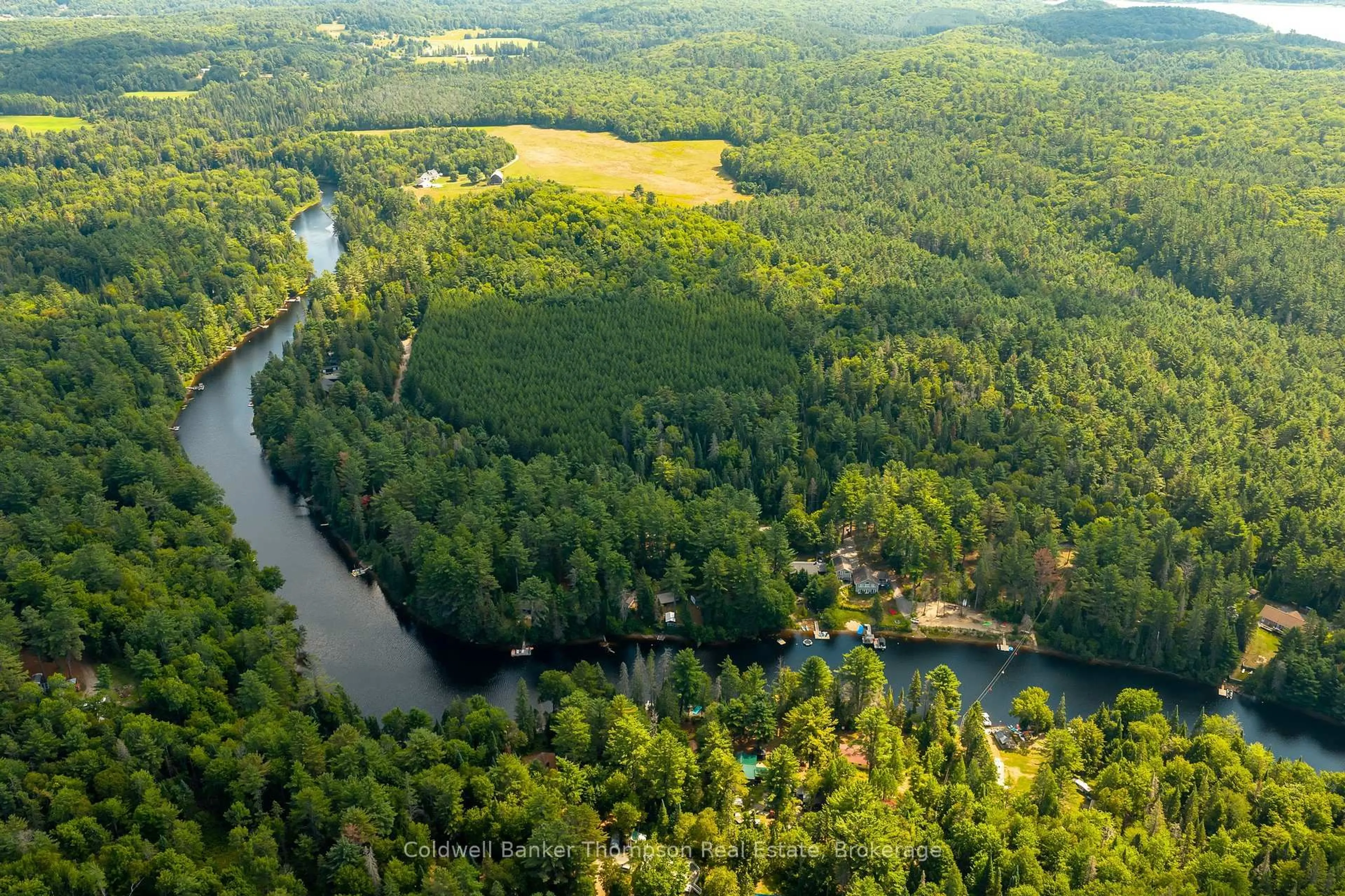 A pic from outside/outdoor area/front of a property/back of a property/a pic from drone, water/lake/river/ocean view for 132 Muskoka River Rd, Huntsville Ontario P0B 1L0