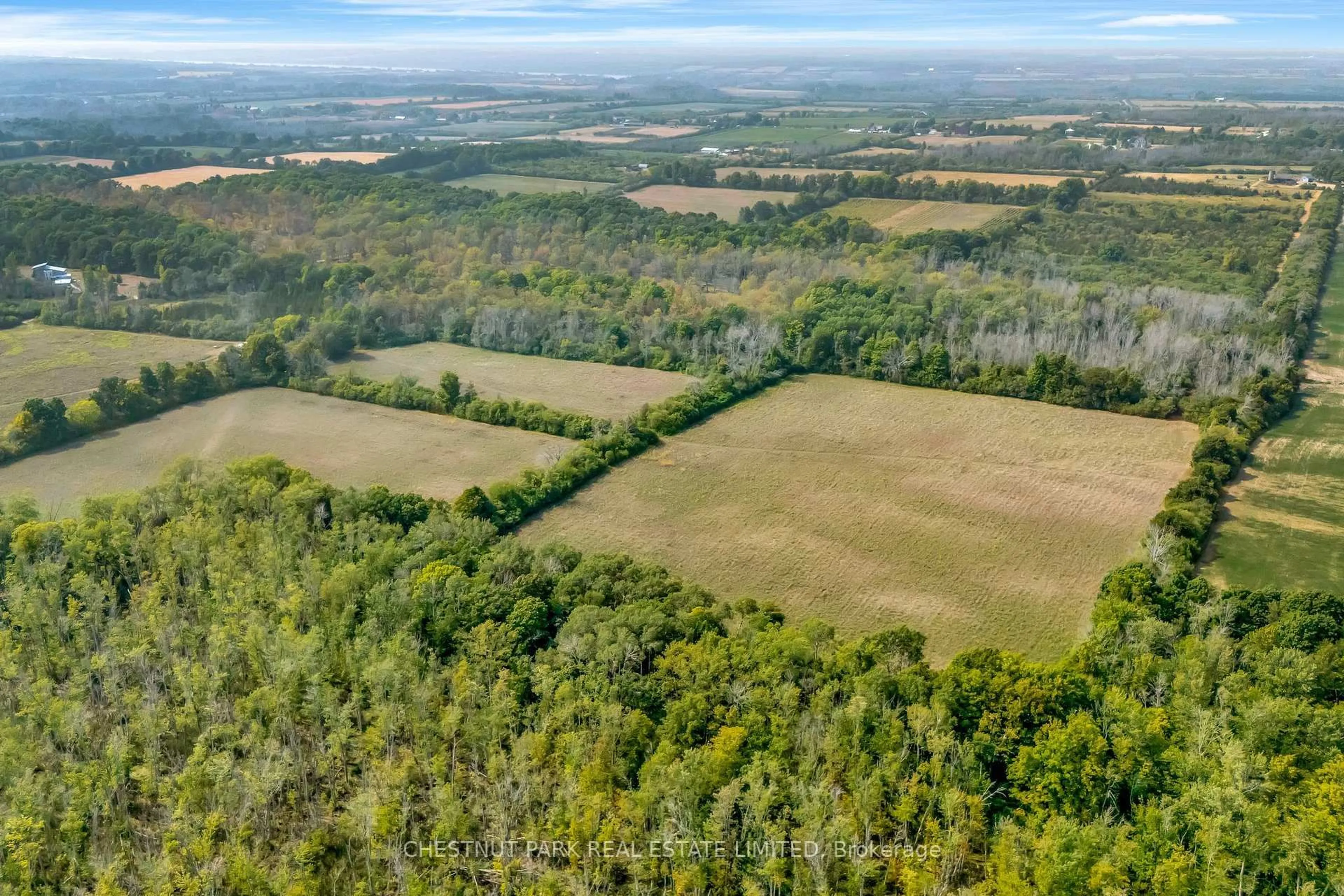 A pic from outside/outdoor area/front of a property/back of a property/a pic from drone, forest/trees view for 403 Closson Rd, Prince Edward County Ontario K0K 2J0