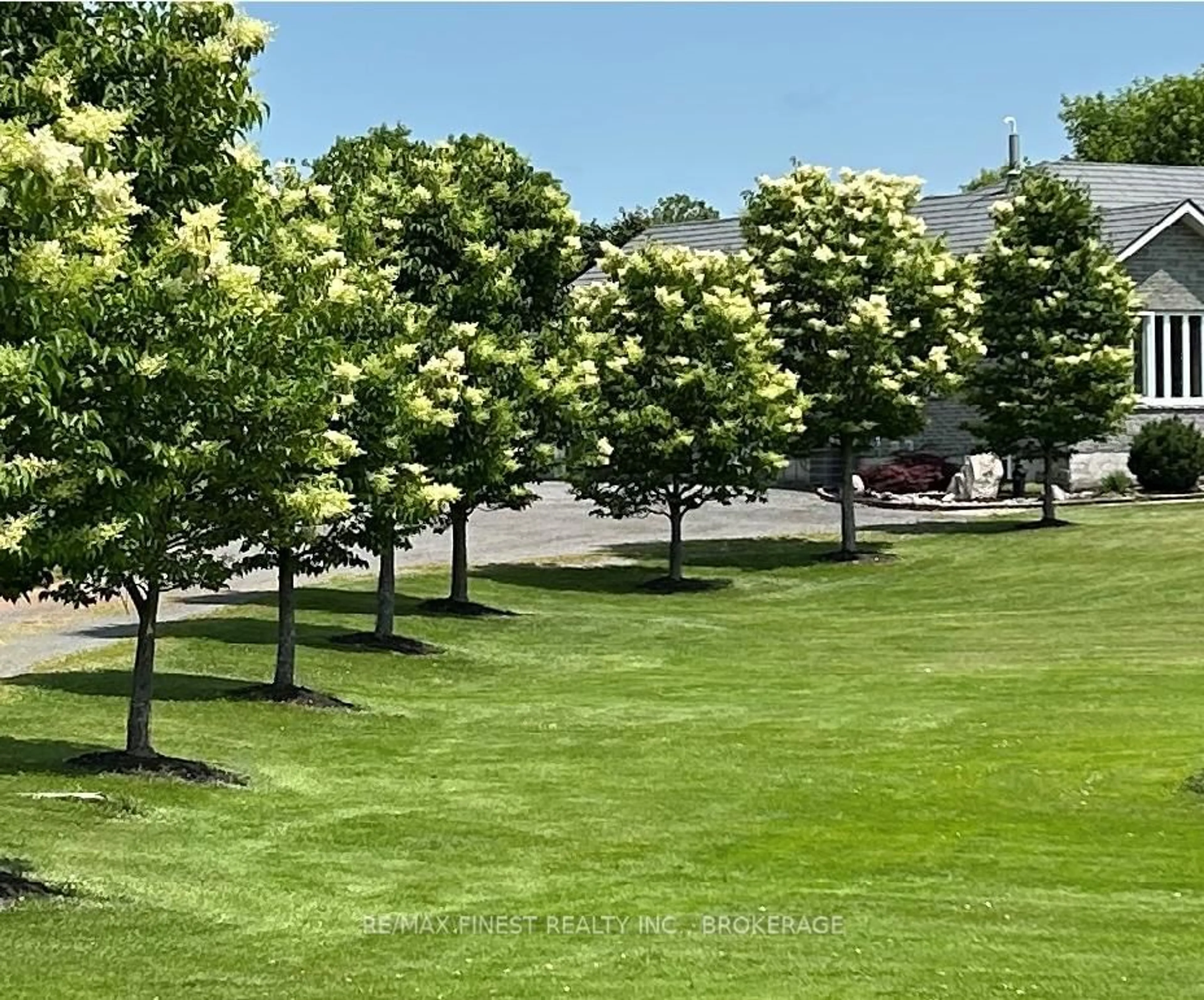 A pic from outside/outdoor area/front of a property/back of a property/a pic from drone, forest/trees view for 4362 Church St, Sydenham Ontario K0H 2T0