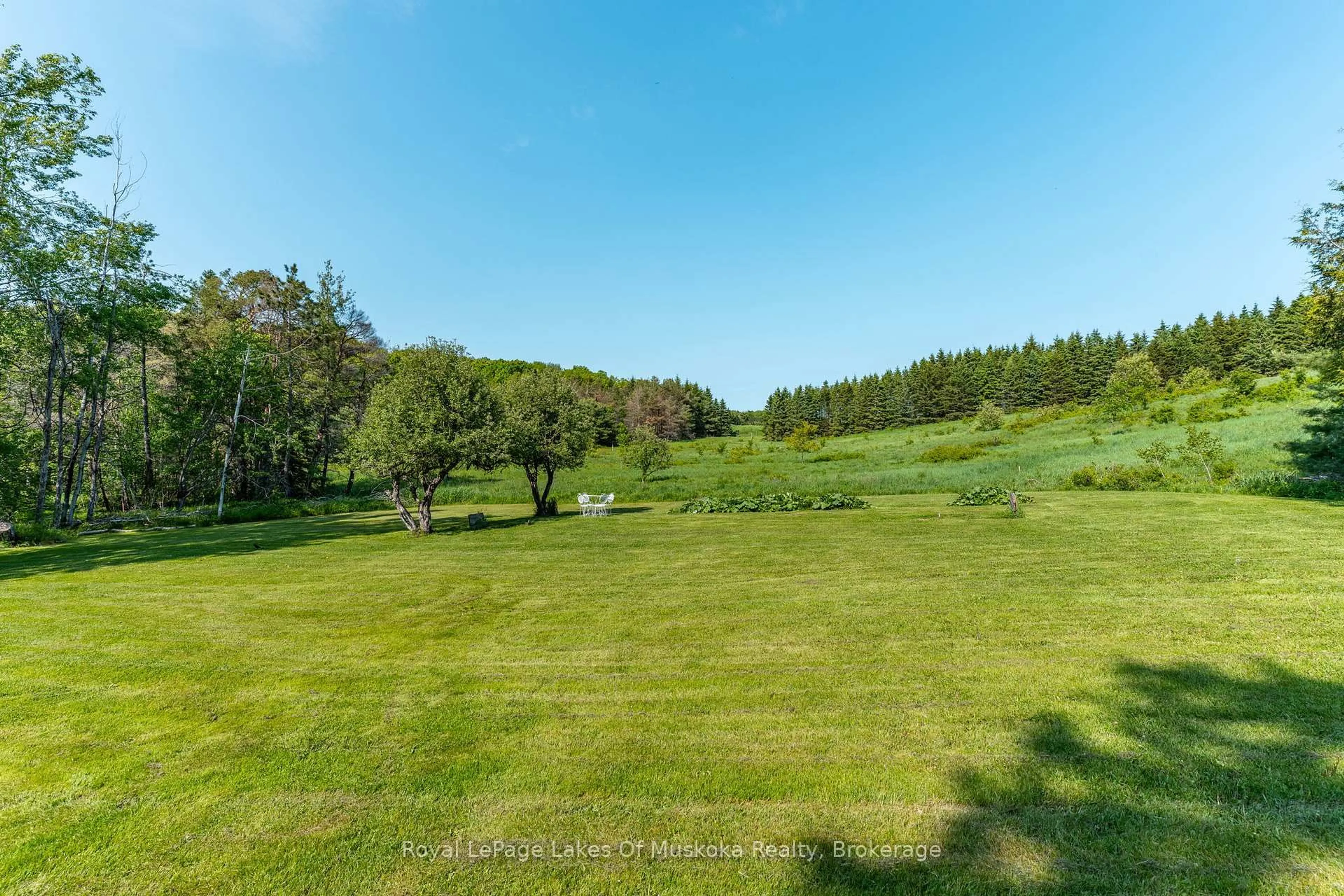 A pic from outside/outdoor area/front of a property/back of a property/a pic from drone, forest/trees view for 229 Fraserburg Rd, Bracebridge Ontario P1L 0G9