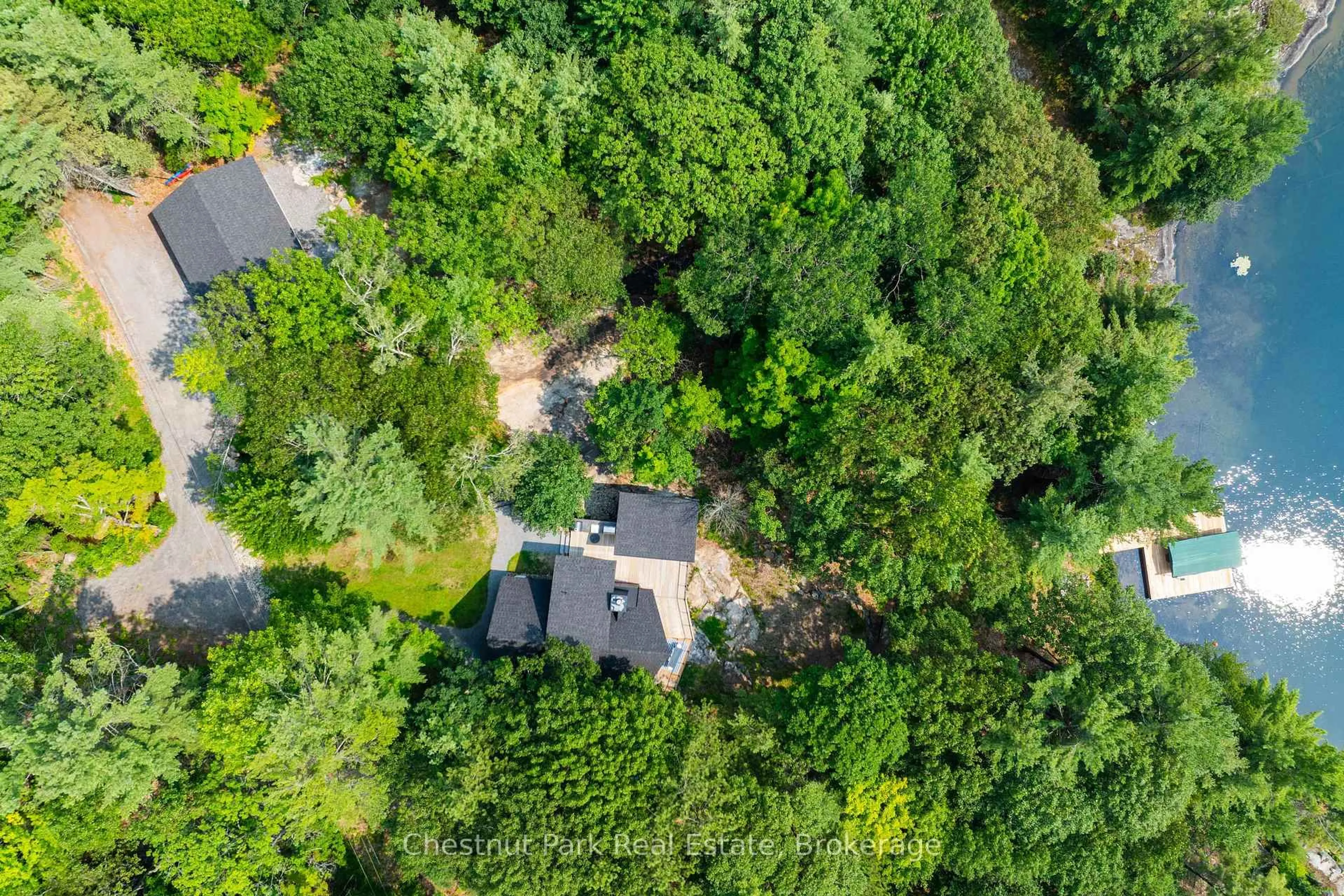 A pic from outside/outdoor area/front of a property/back of a property/a pic from drone, forest/trees view for 107 Steeles Rd, Seguin Ontario P0C 1J0