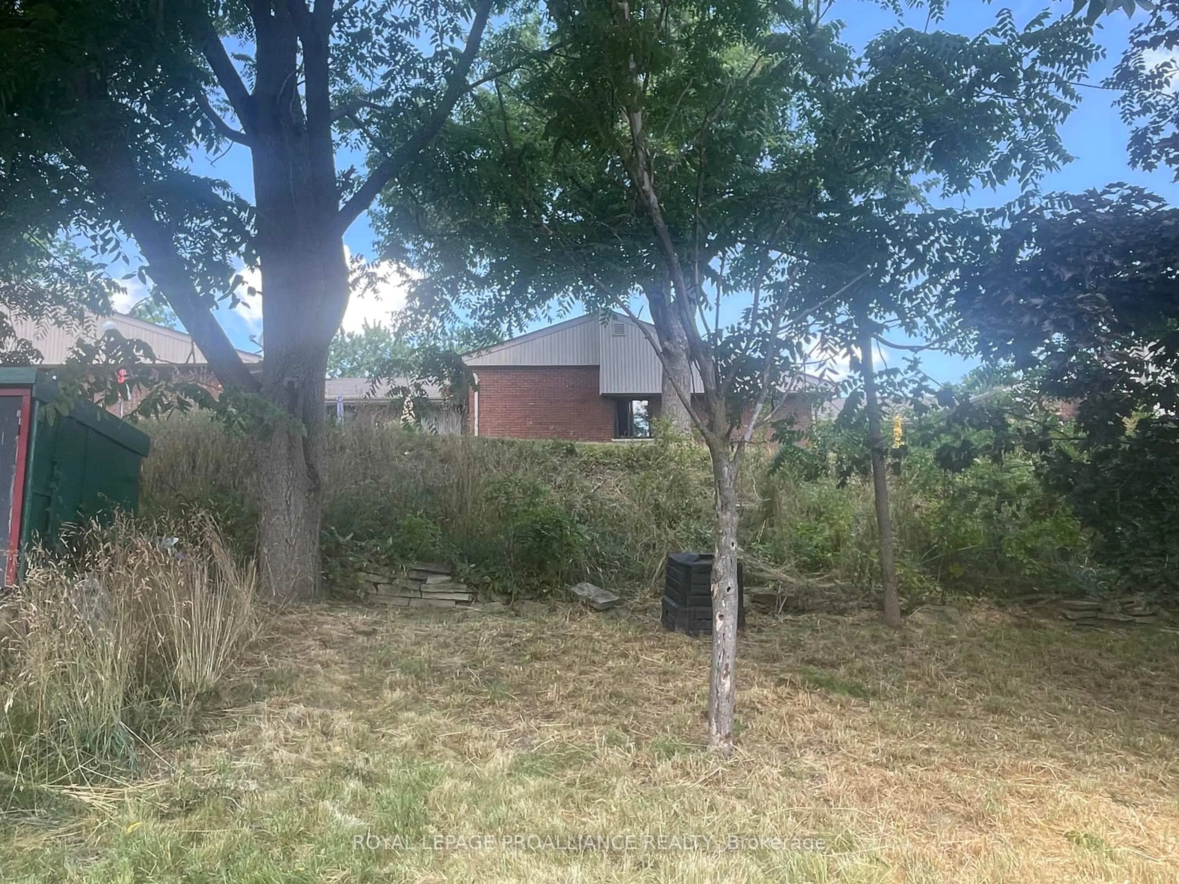A pic from outside/outdoor area/front of a property/back of a property/a pic from drone, forest/trees view for 440 Bellevue St, Peterborough North Ontario K9H 5G6