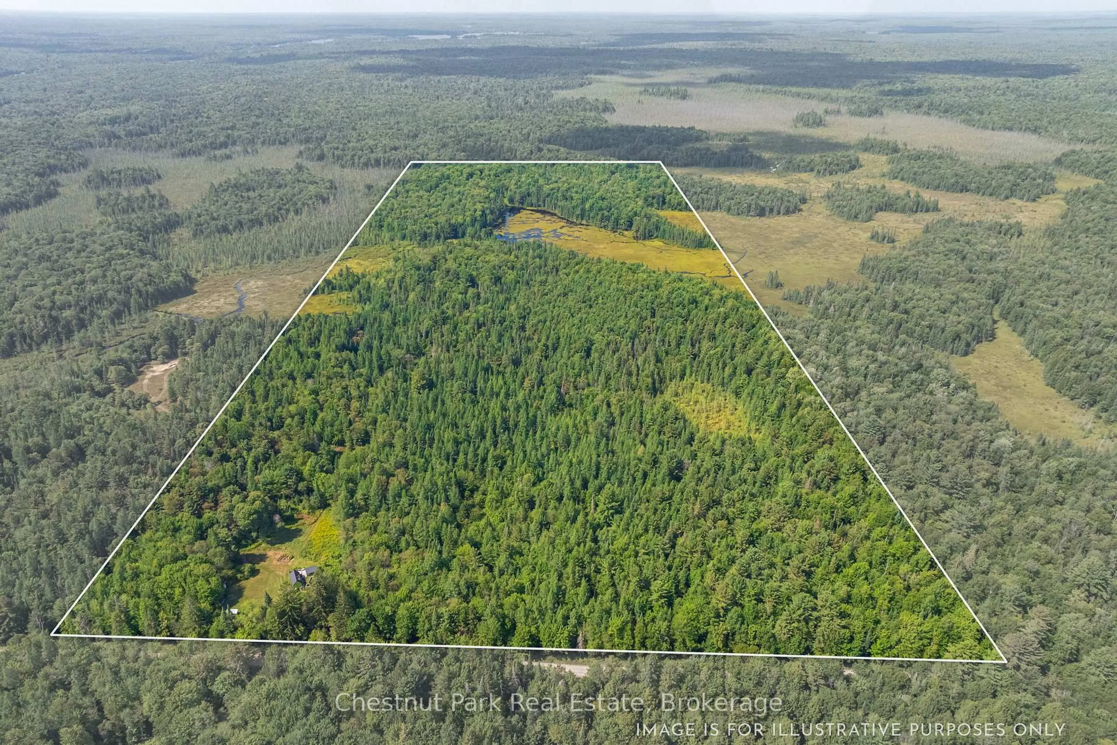 A pic from outside/outdoor area/front of a property/back of a property/a pic from drone, forest/trees view for 2784 Axe Lake Rd, McMurrich/Monteith Ontario P0B 1M0