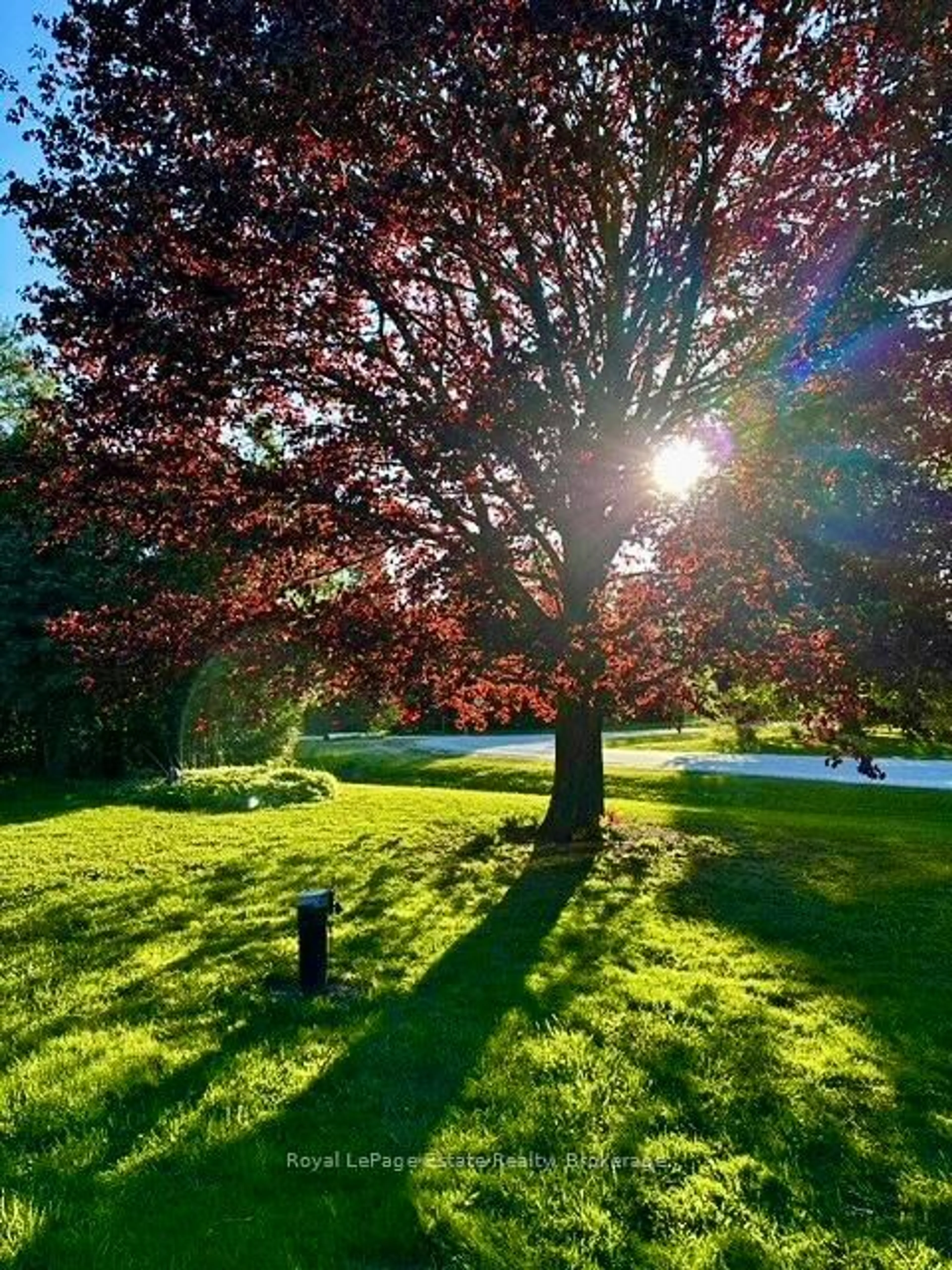 A pic from outside/outdoor area/front of a property/back of a property/a pic from drone, forest/trees view for 110 Wendy Lane, Chatsworth Ontario N0H 1R0