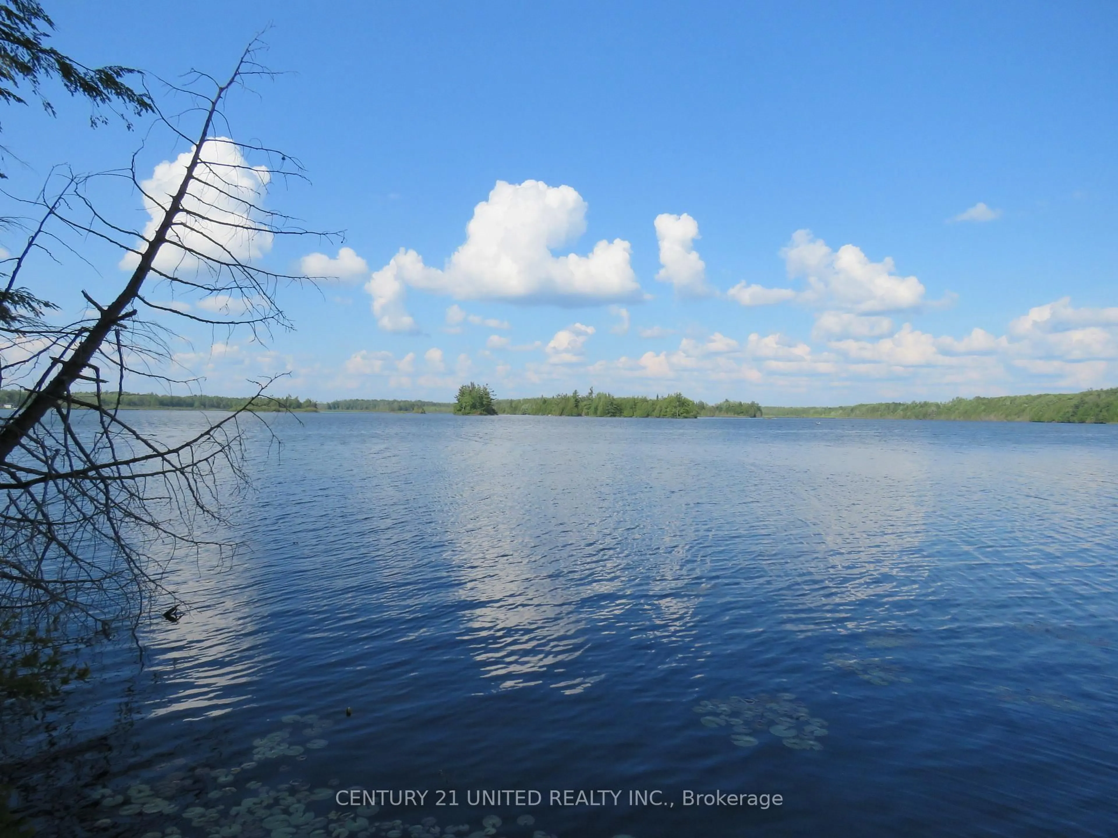Blurry image for 162 Talbot Rd, Kawartha Lakes Ontario K0M 1K0