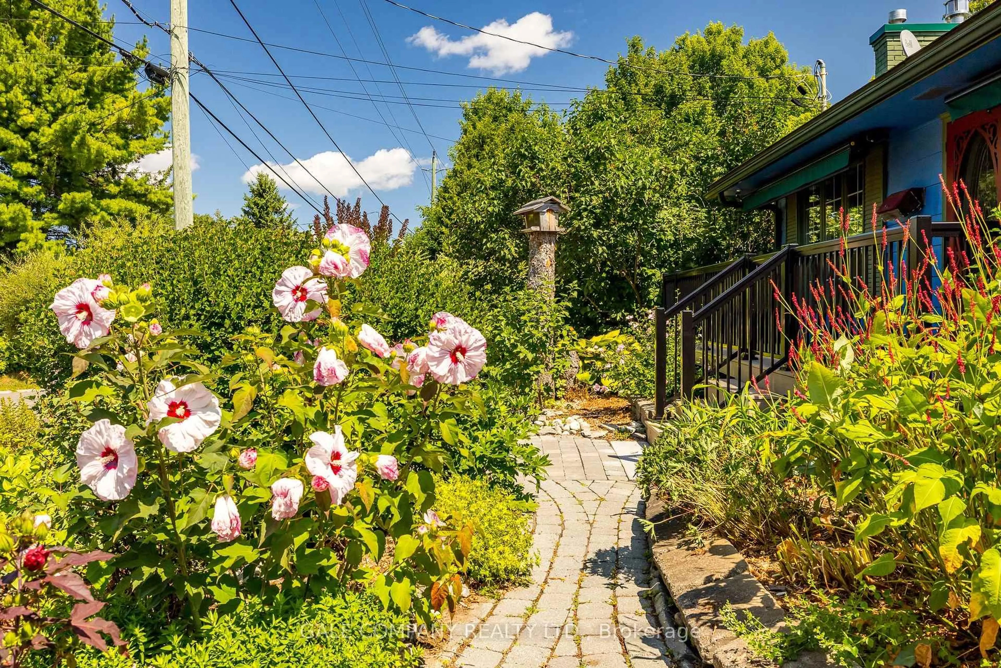 Patio, street for 343 Hope St, Almonte Ontario K0A 1A0