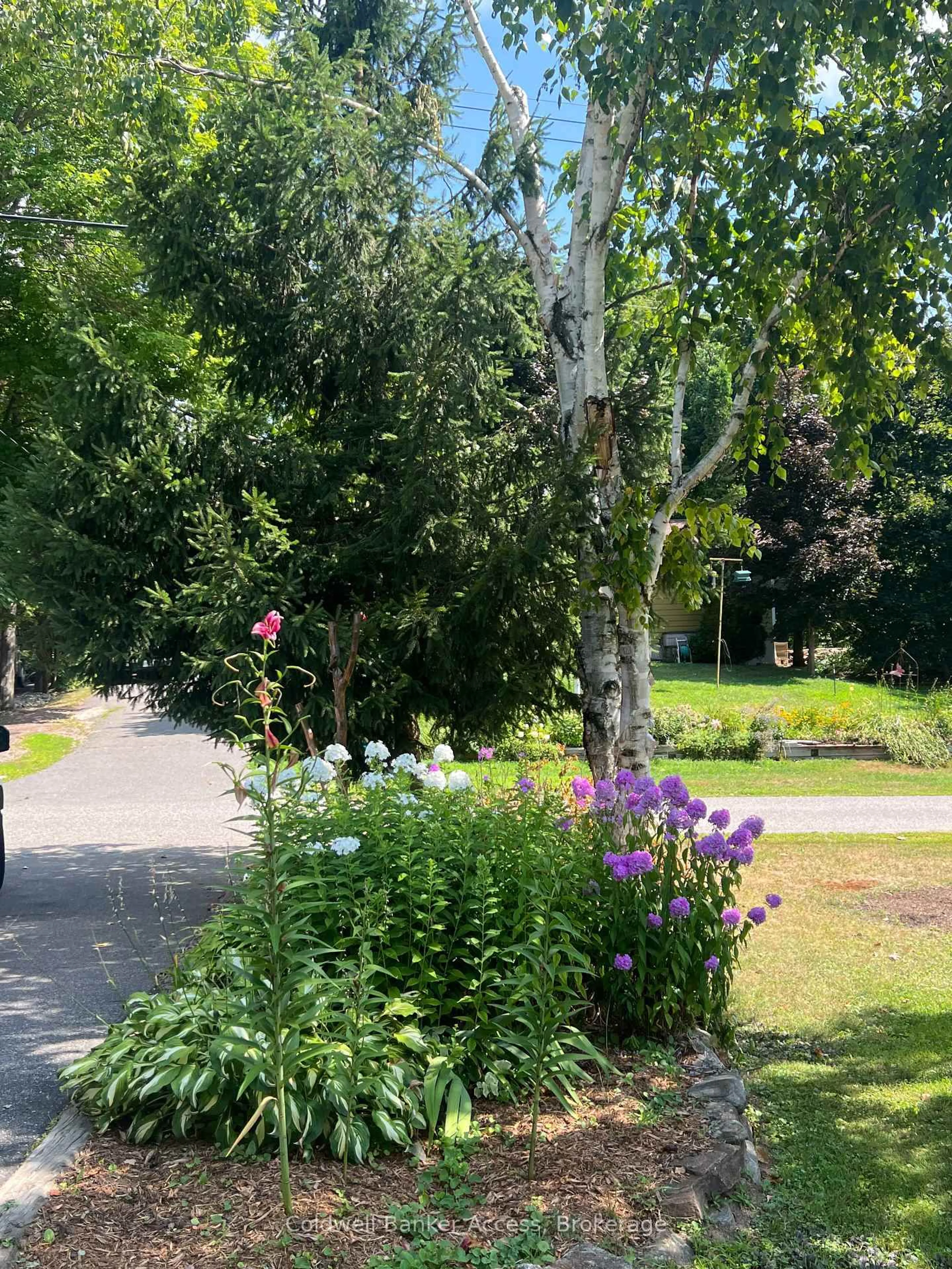 A pic from outside/outdoor area/front of a property/back of a property/a pic from drone, street for 1048 Gordon St, Muskoka Lakes Ontario P0C 1A0