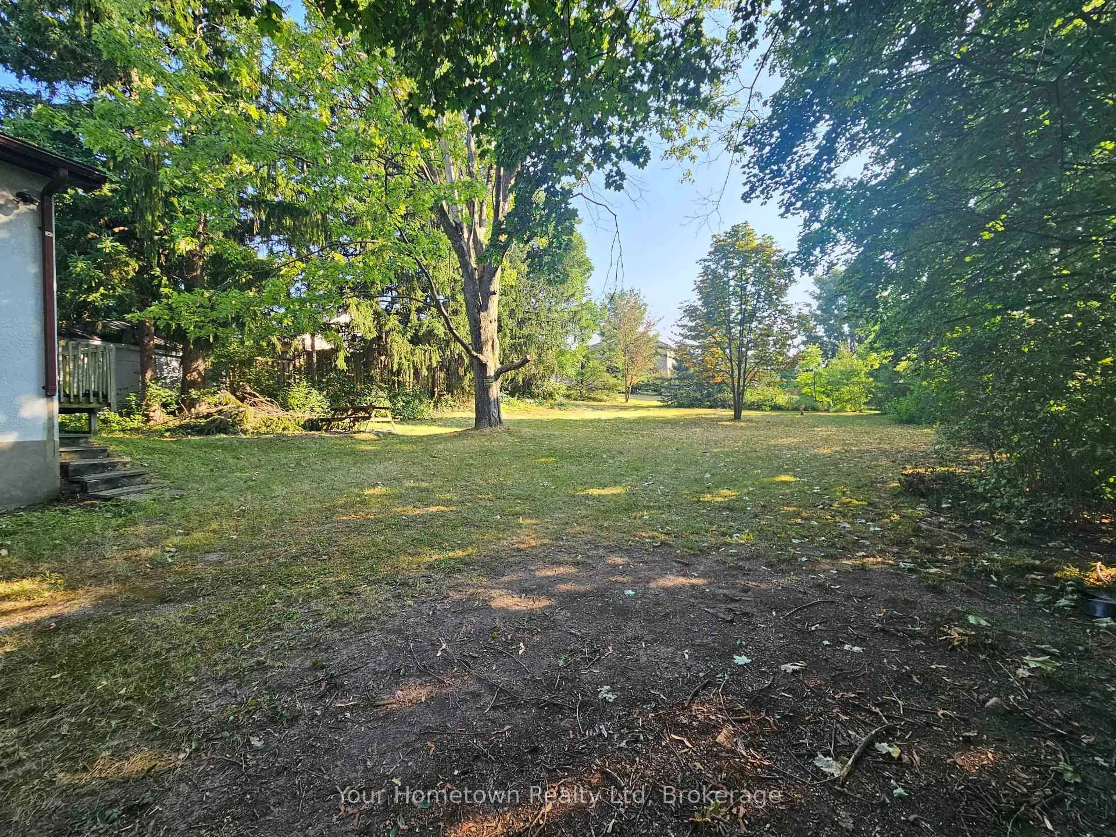 A pic from outside/outdoor area/front of a property/back of a property/a pic from drone, forest/trees view for 1 Hardy St, Guelph Ontario N1E 5G4