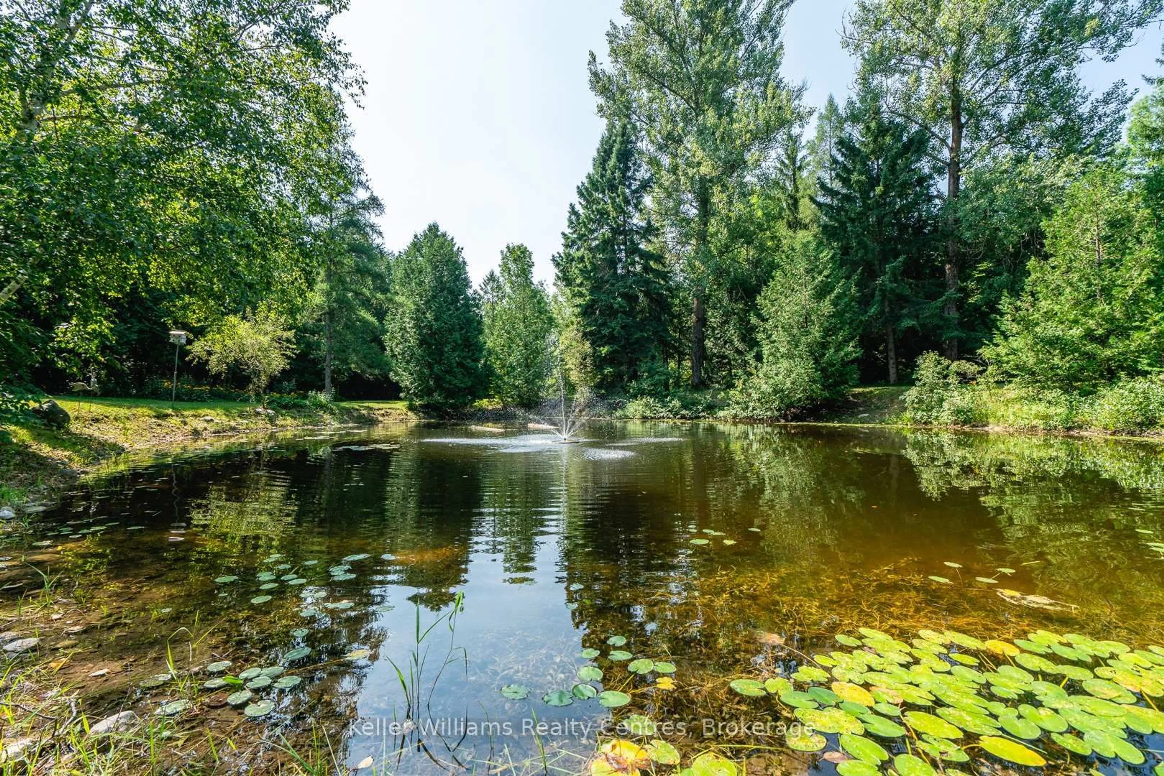 Pool for 034660 Sideroad 5 NDR, West Grey Ontario N0G 1S0