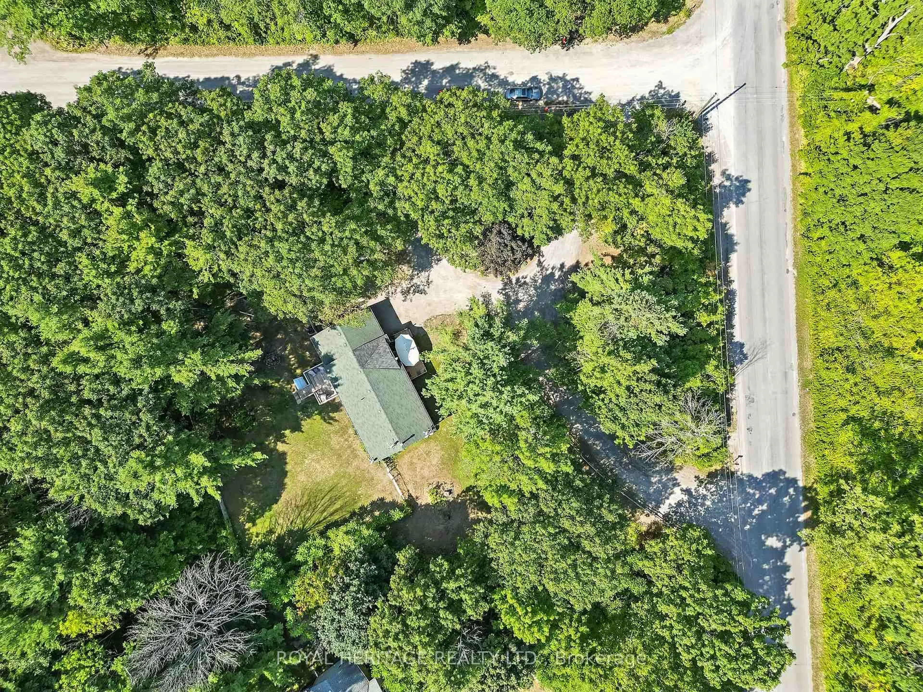 A pic from outside/outdoor area/front of a property/back of a property/a pic from drone, forest/trees view for 16029 Telephone Rd, Brighton Ontario K0K 1H0