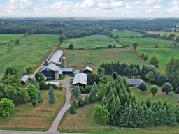 history photo preview