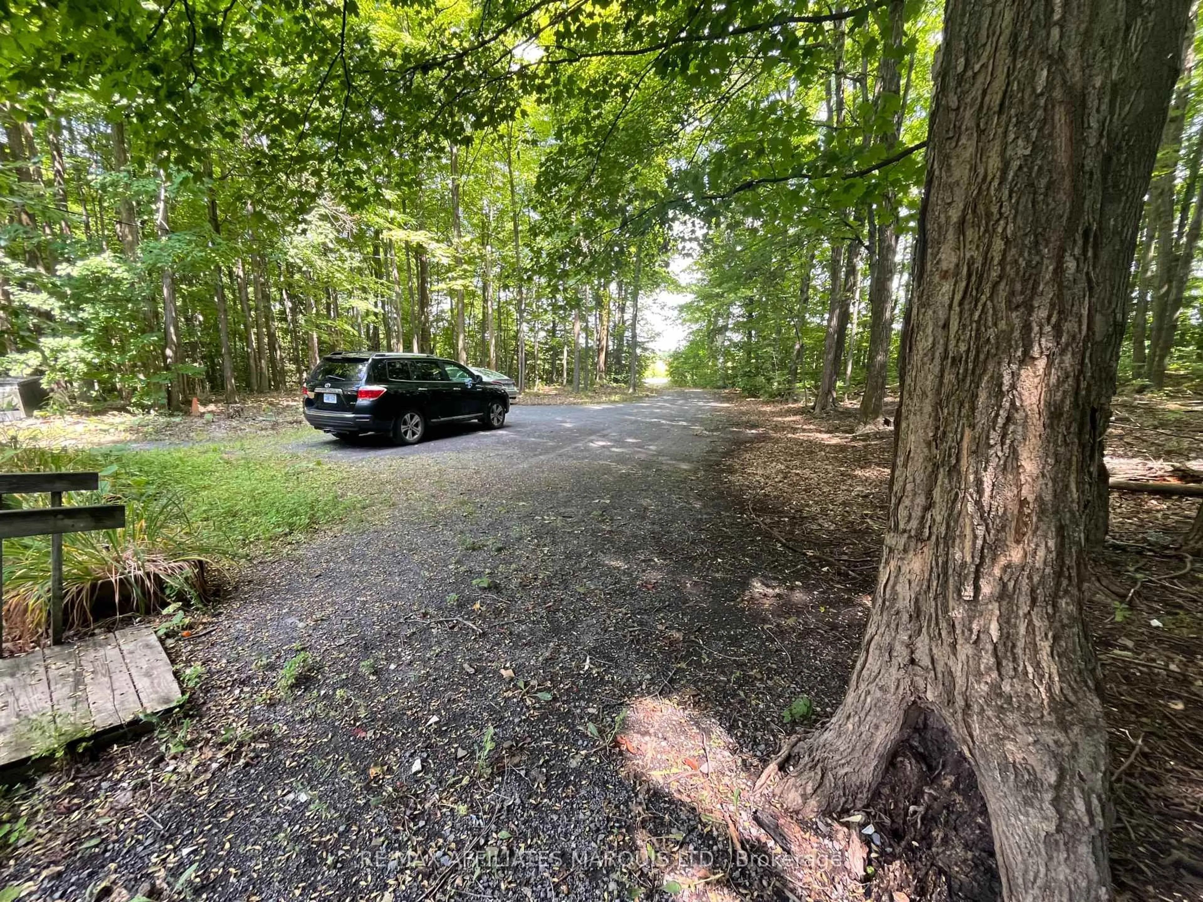 A pic from outside/outdoor area/front of a property/back of a property/a pic from drone, forest/trees view for 4960 County Rd 34 Rd, South Glengarry Ontario K0C 2J0