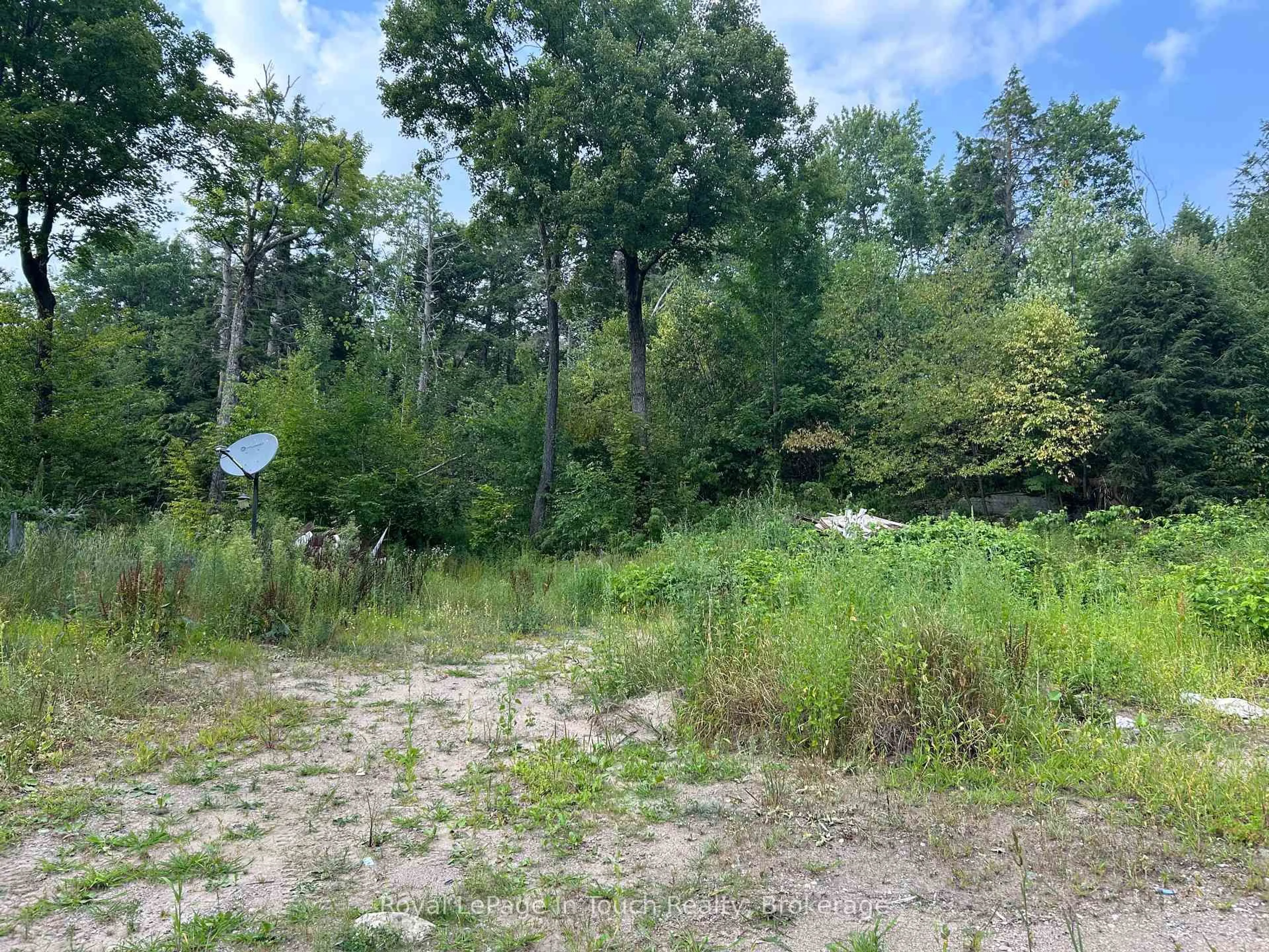 A pic from outside/outdoor area/front of a property/back of a property/a pic from drone, forest/trees view for 196 Twelve Mile Bay Rd, Georgian Bay Ontario P0C 1H0