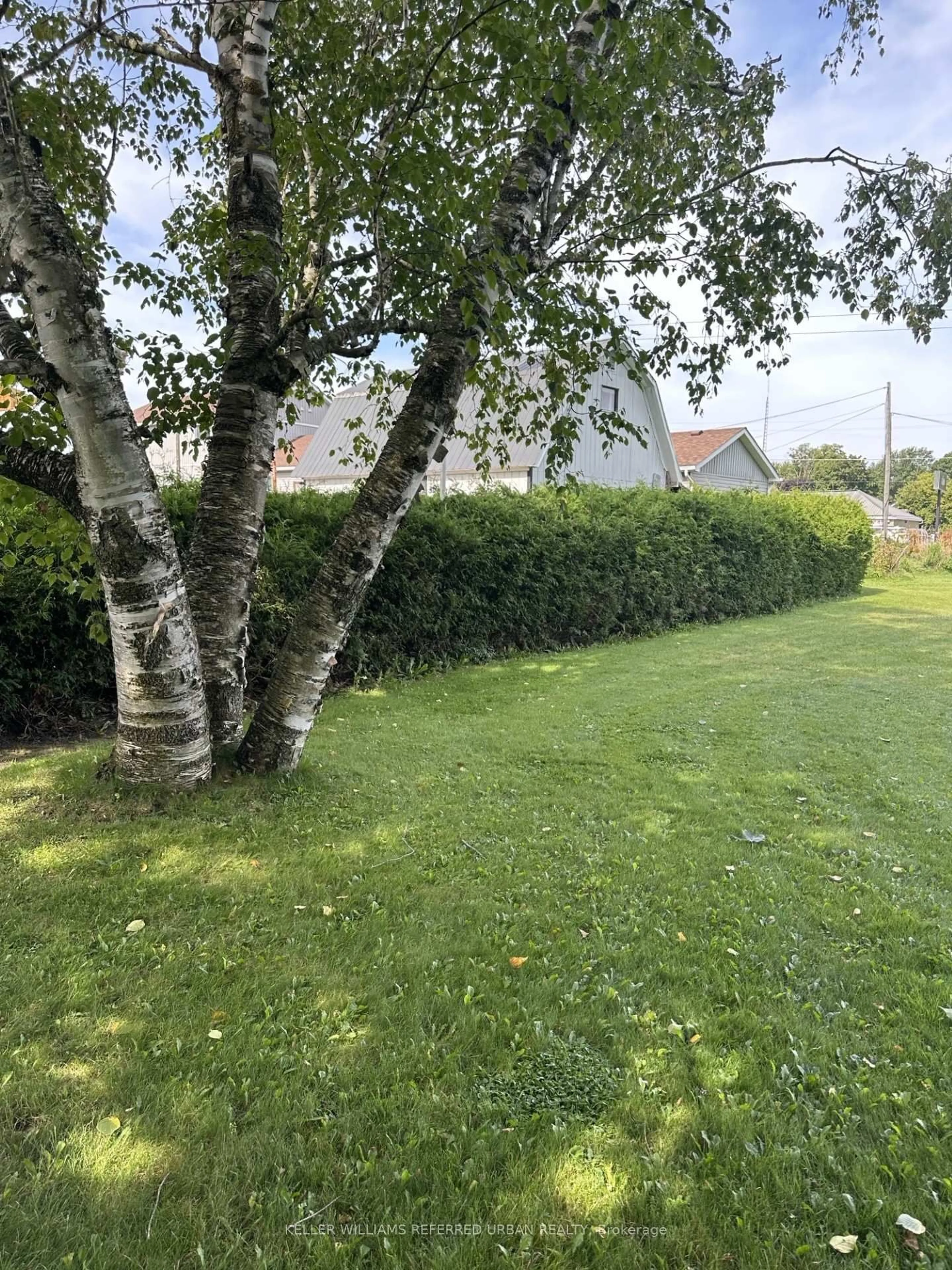 A pic from outside/outdoor area/front of a property/back of a property/a pic from drone, unknown for 18 King St, Minto Ontario N0G 1Z0