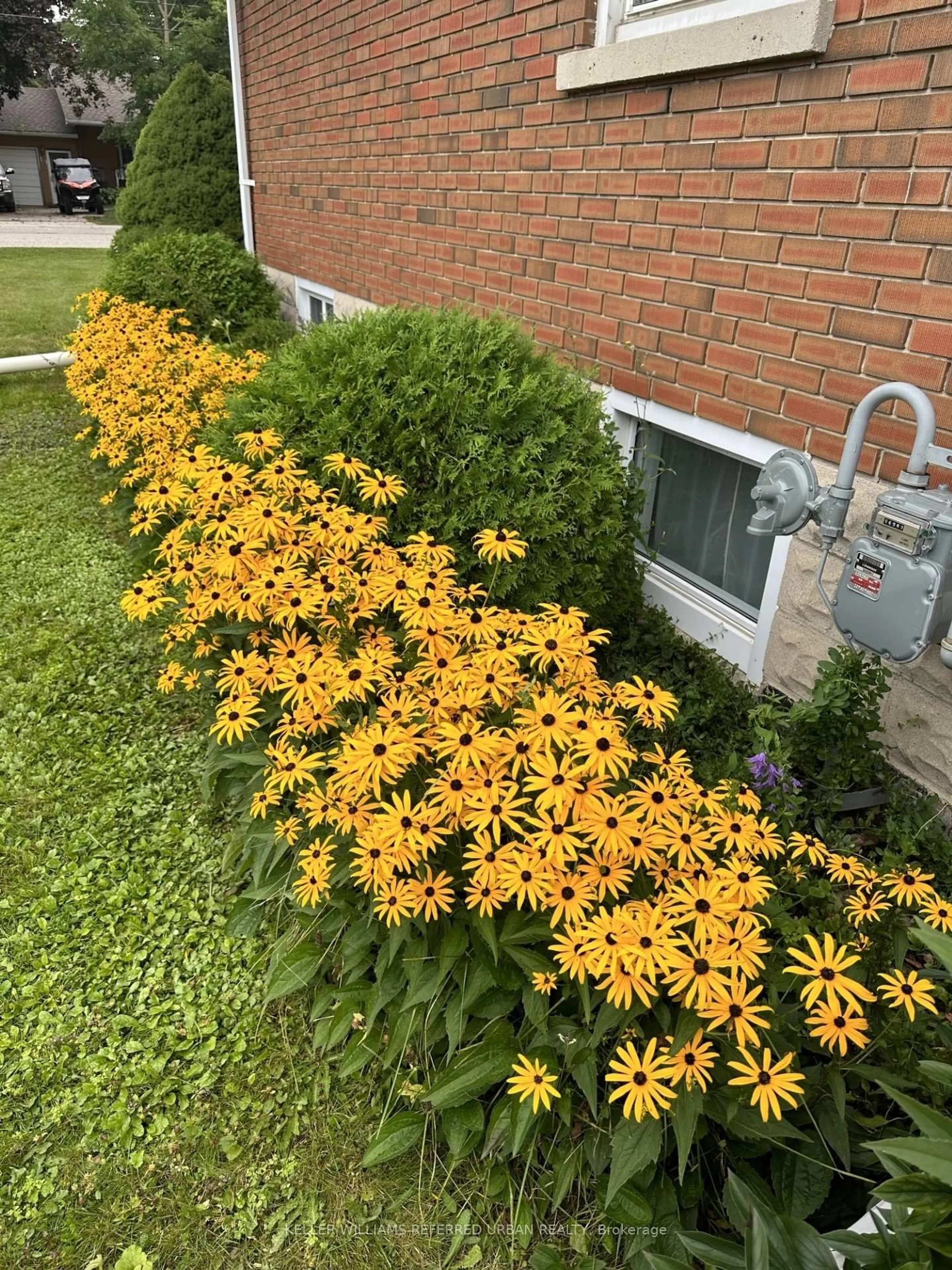 Unknown for 18 King St, Minto Ontario N0G 1Z0