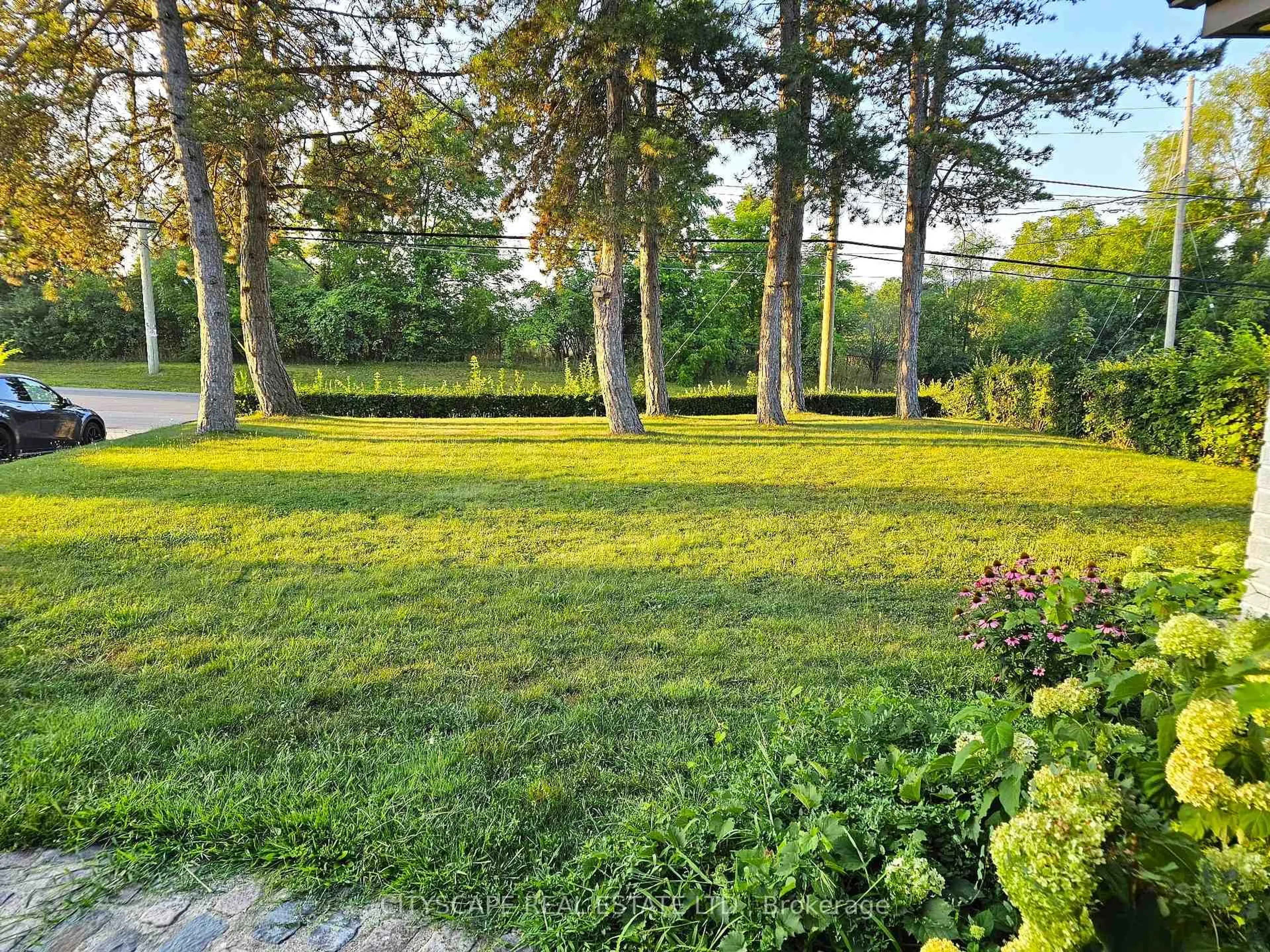 Patio, forest/trees view for 891 Riverside Dr, London North Ontario N6H 4N3