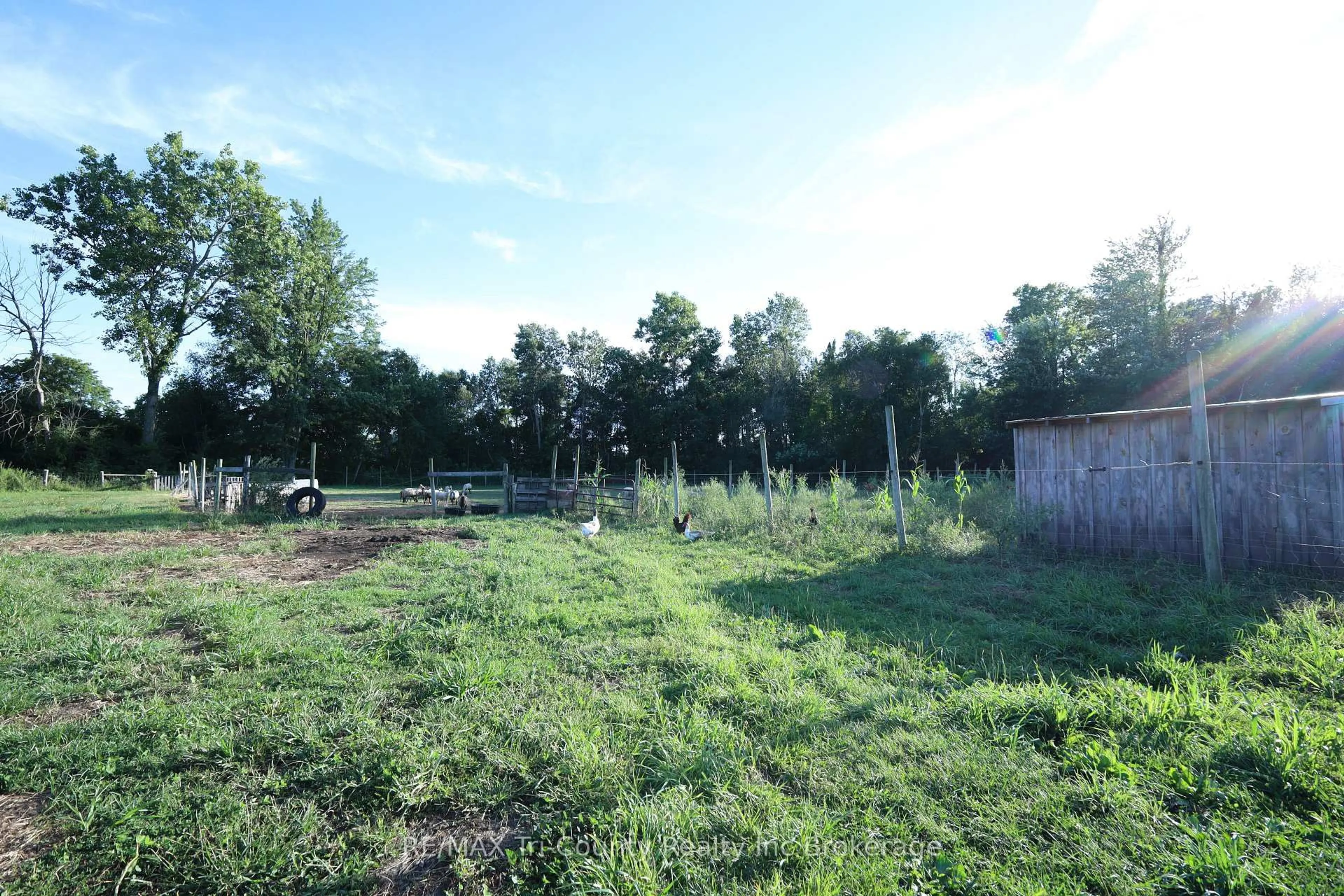 Shed for 853 Norfolk County 28 Rd, Norfolk Ontario N0E 1G0