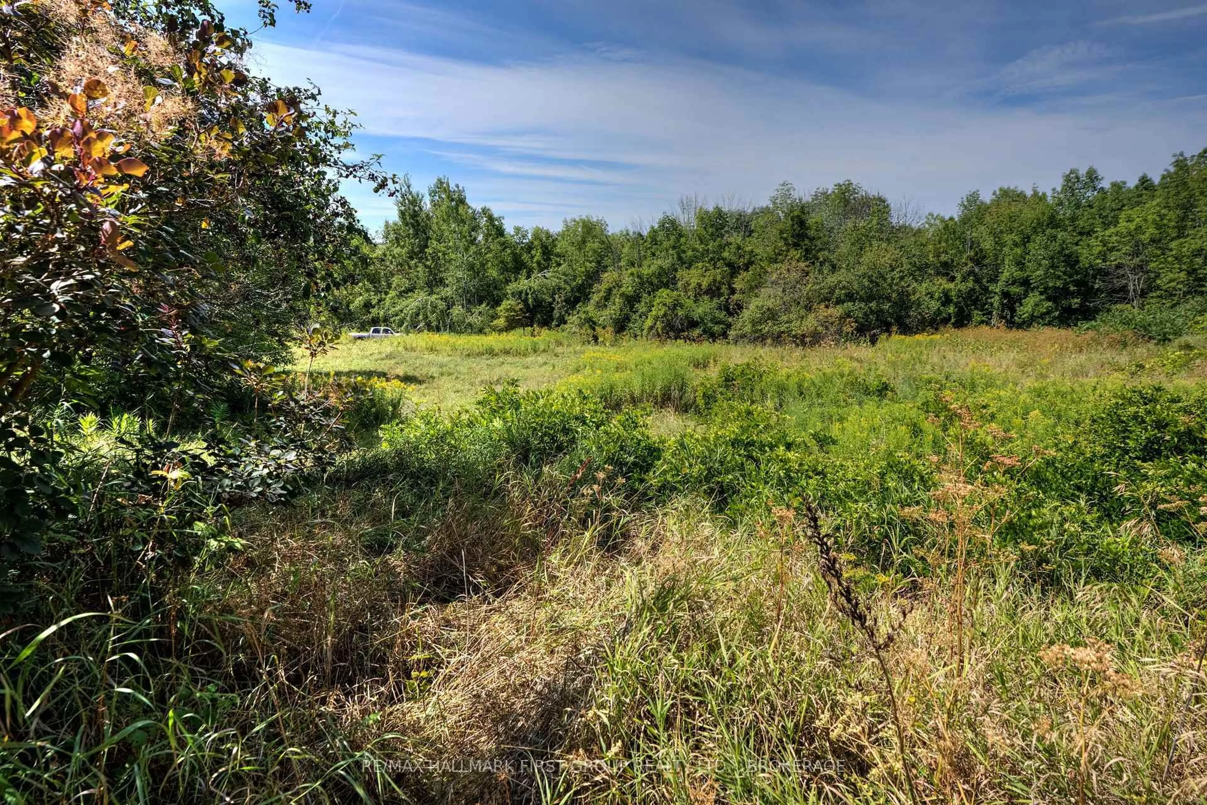 A pic from outside/outdoor area/front of a property/back of a property/a pic from drone, forest/trees view for 659 Moira Rd, Stirling Ontario K0K 3E0