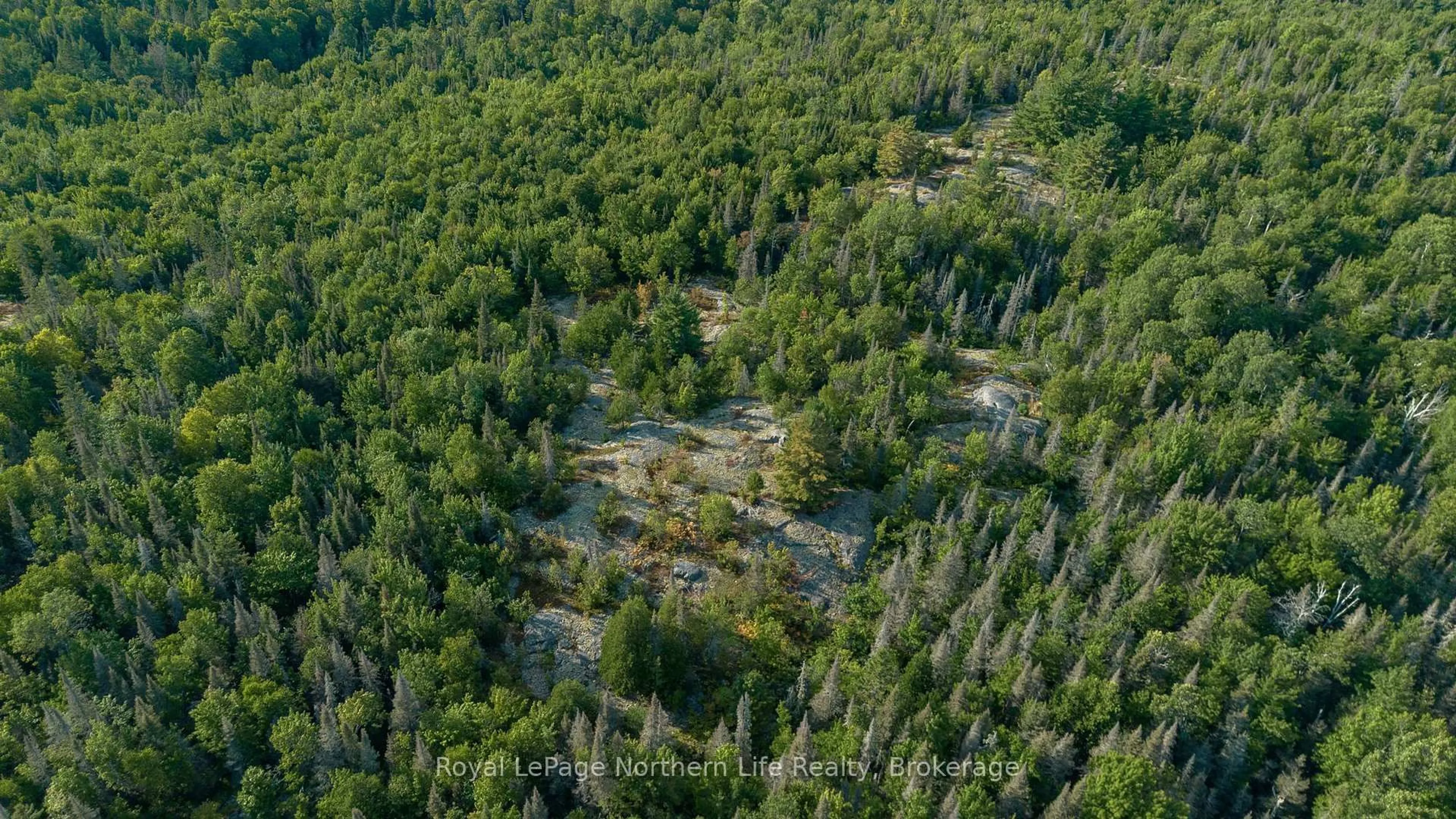 A pic from outside/outdoor area/front of a property/back of a property/a pic from drone, forest/trees view for 137 GRAND DESERT Rd, Bonfield Ontario P0H 1E0