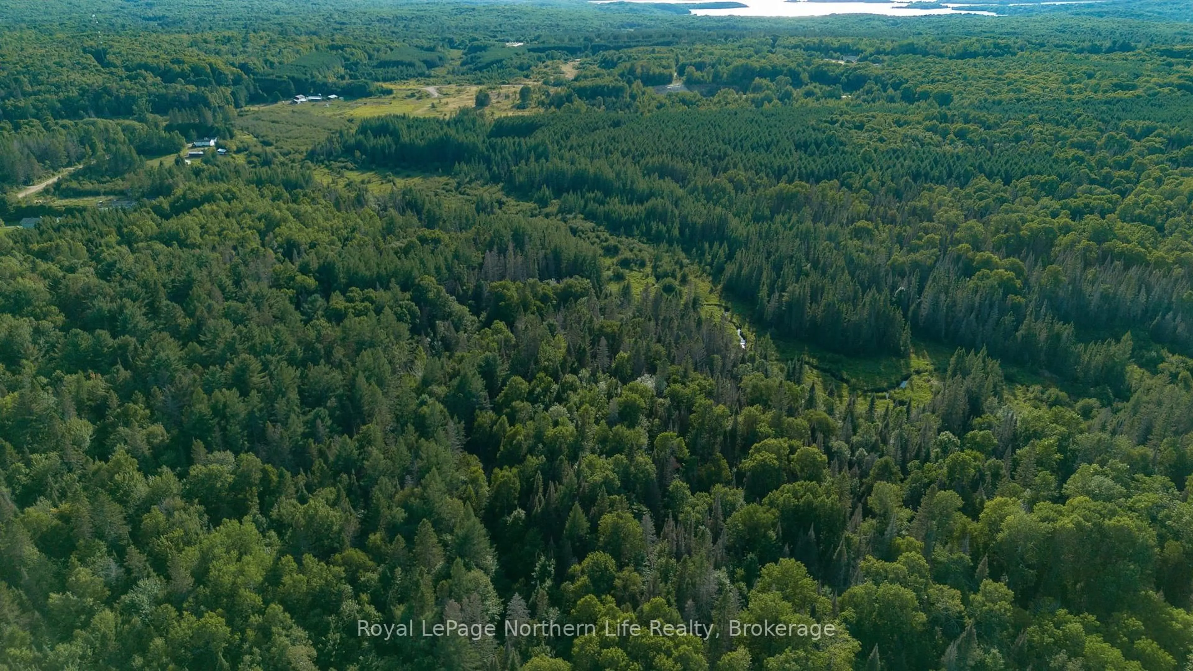 A pic from outside/outdoor area/front of a property/back of a property/a pic from drone, forest/trees view for 137 GRAND DESERT Rd, Bonfield Ontario P0H 1E0