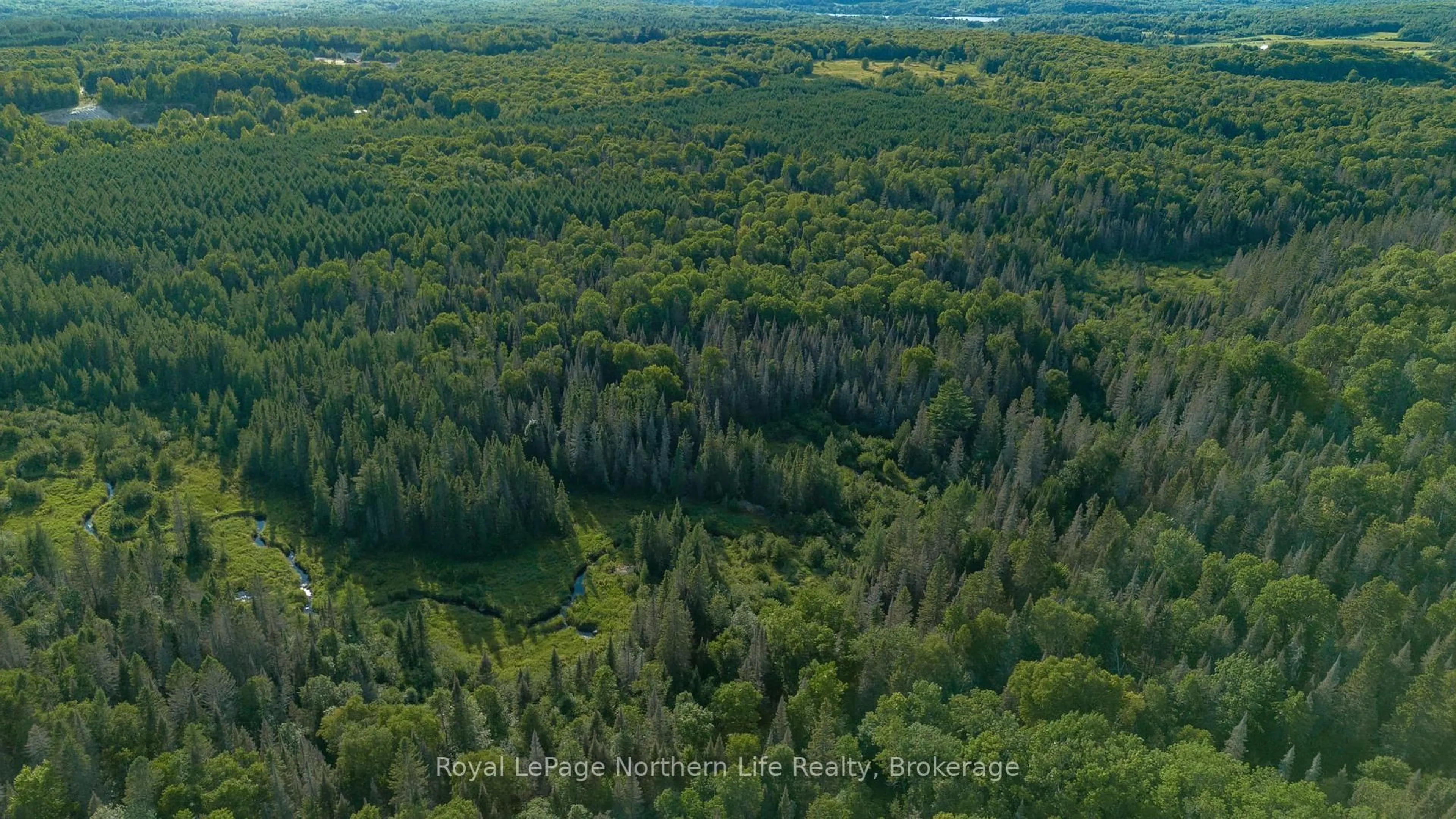 A pic from outside/outdoor area/front of a property/back of a property/a pic from drone, forest/trees view for 137 GRAND DESERT Rd, Bonfield Ontario P0H 1E0