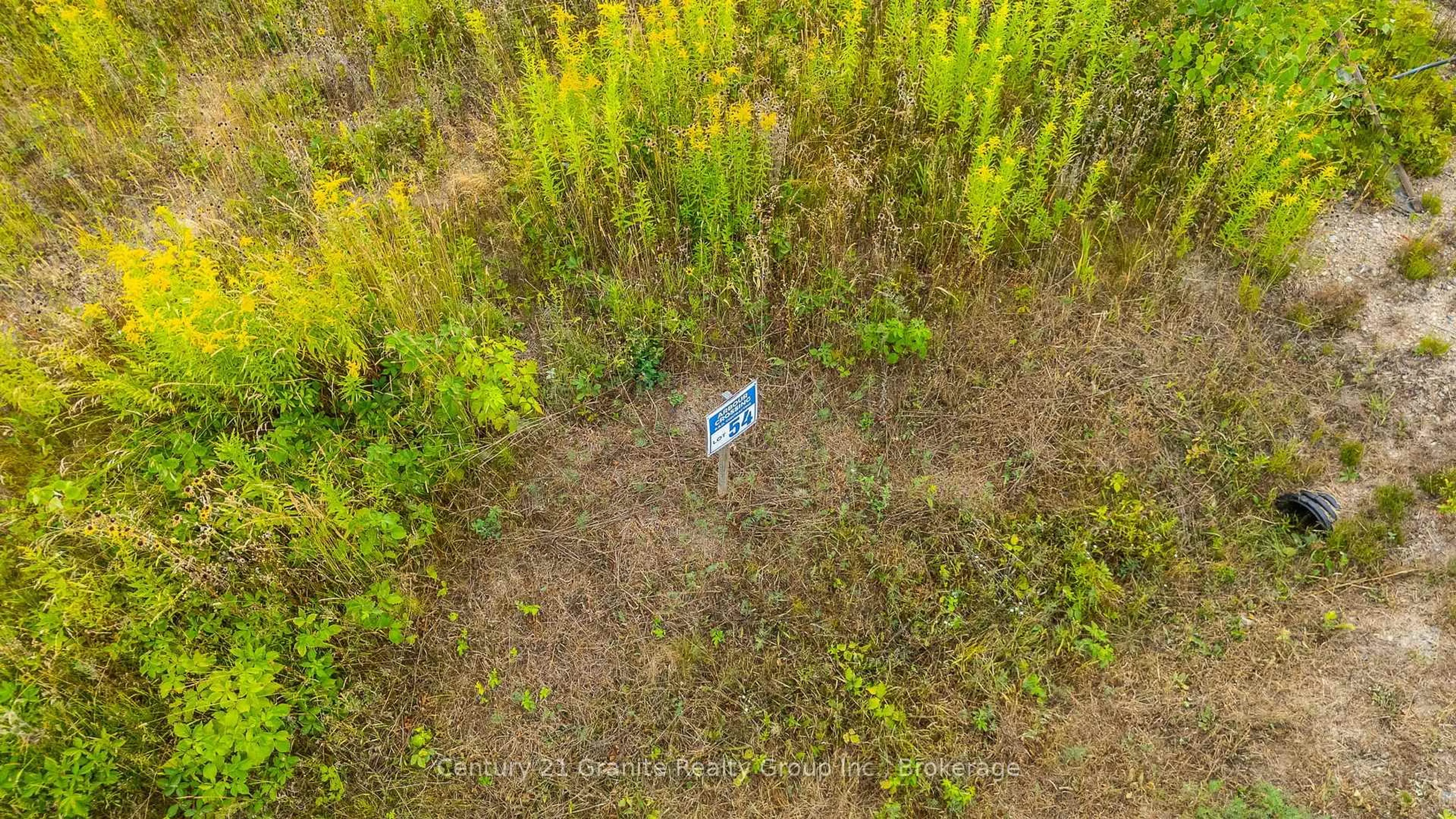 A pic from outside/outdoor area/front of a property/back of a property/a pic from drone, unknown for Lot 55 Kulas Crt, Minden Hills Ontario K0M 2K0