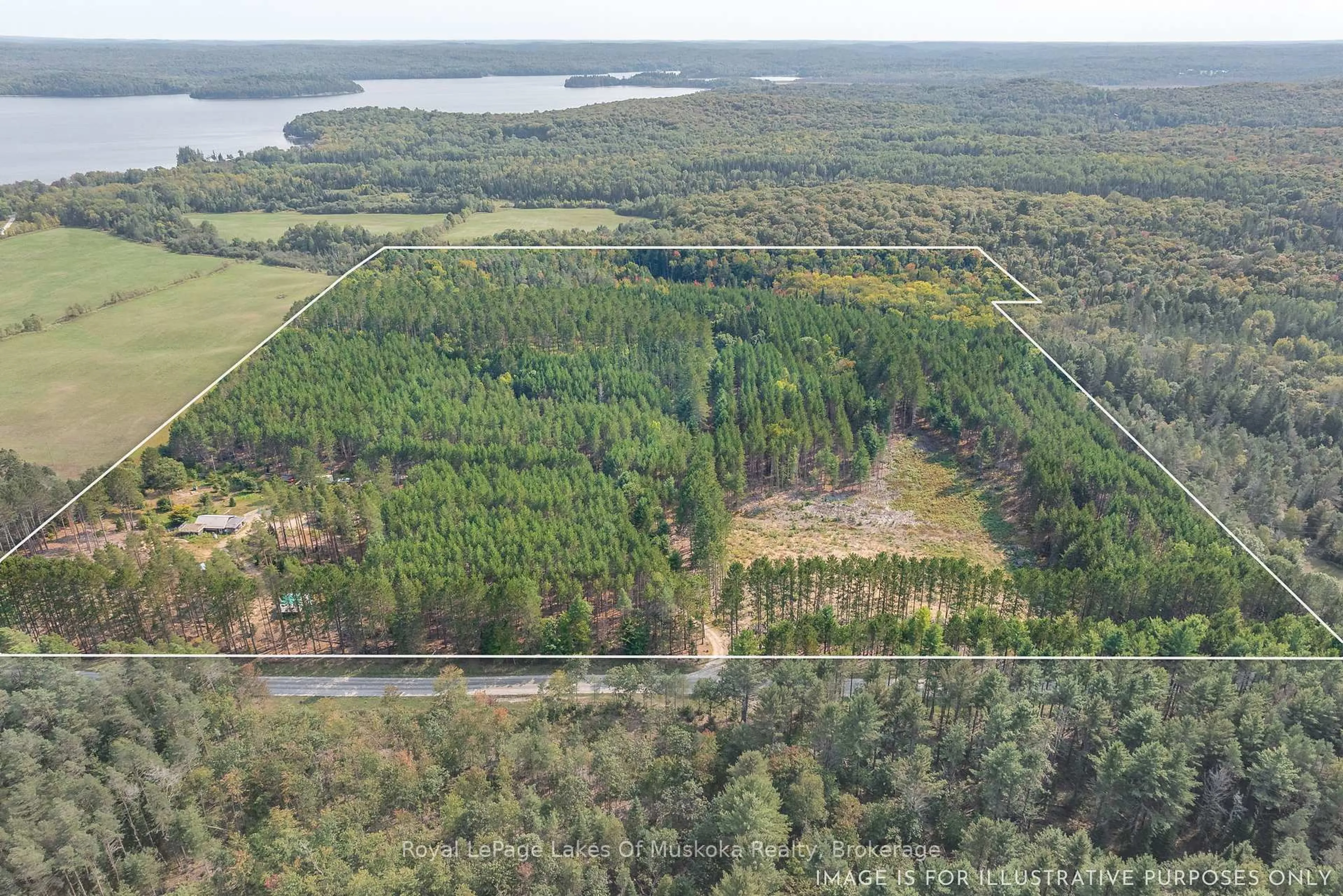 A pic from outside/outdoor area/front of a property/back of a property/a pic from drone, forest/trees view for 165 JAMES CAMP Rd, Ryerson Ontario P0A 1C0