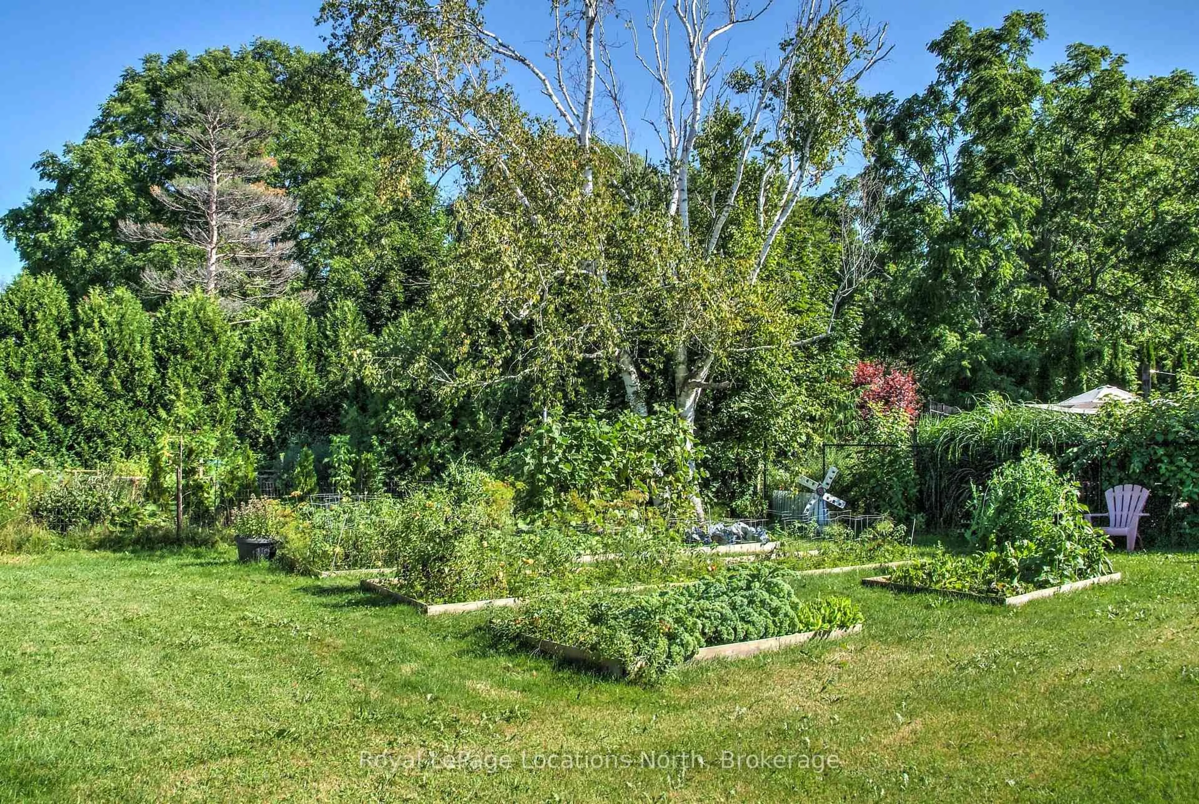 A pic from outside/outdoor area/front of a property/back of a property/a pic from drone, forest/trees view for 51 Union St, Meaford Ontario N4L 1E6