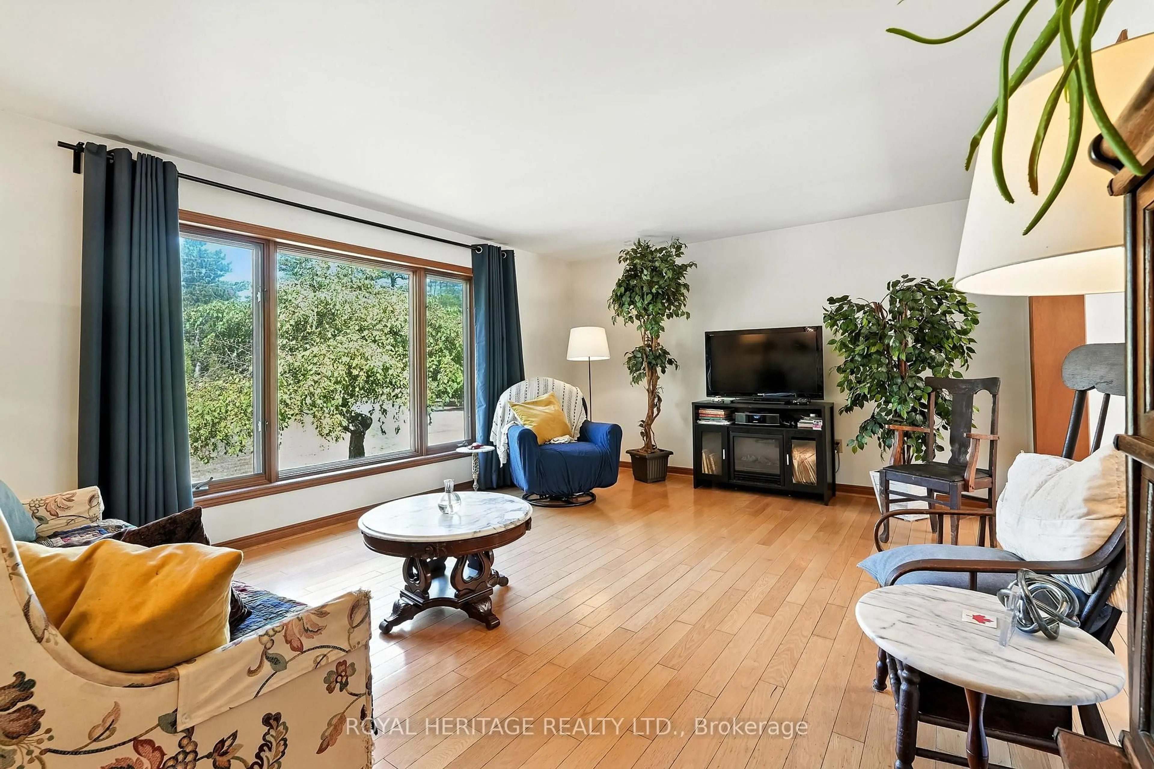 Living room with furniture, wood/laminate floor for 10050 Haliburton County Road 503 Rd, Highlands East Ontario K0M 1R0