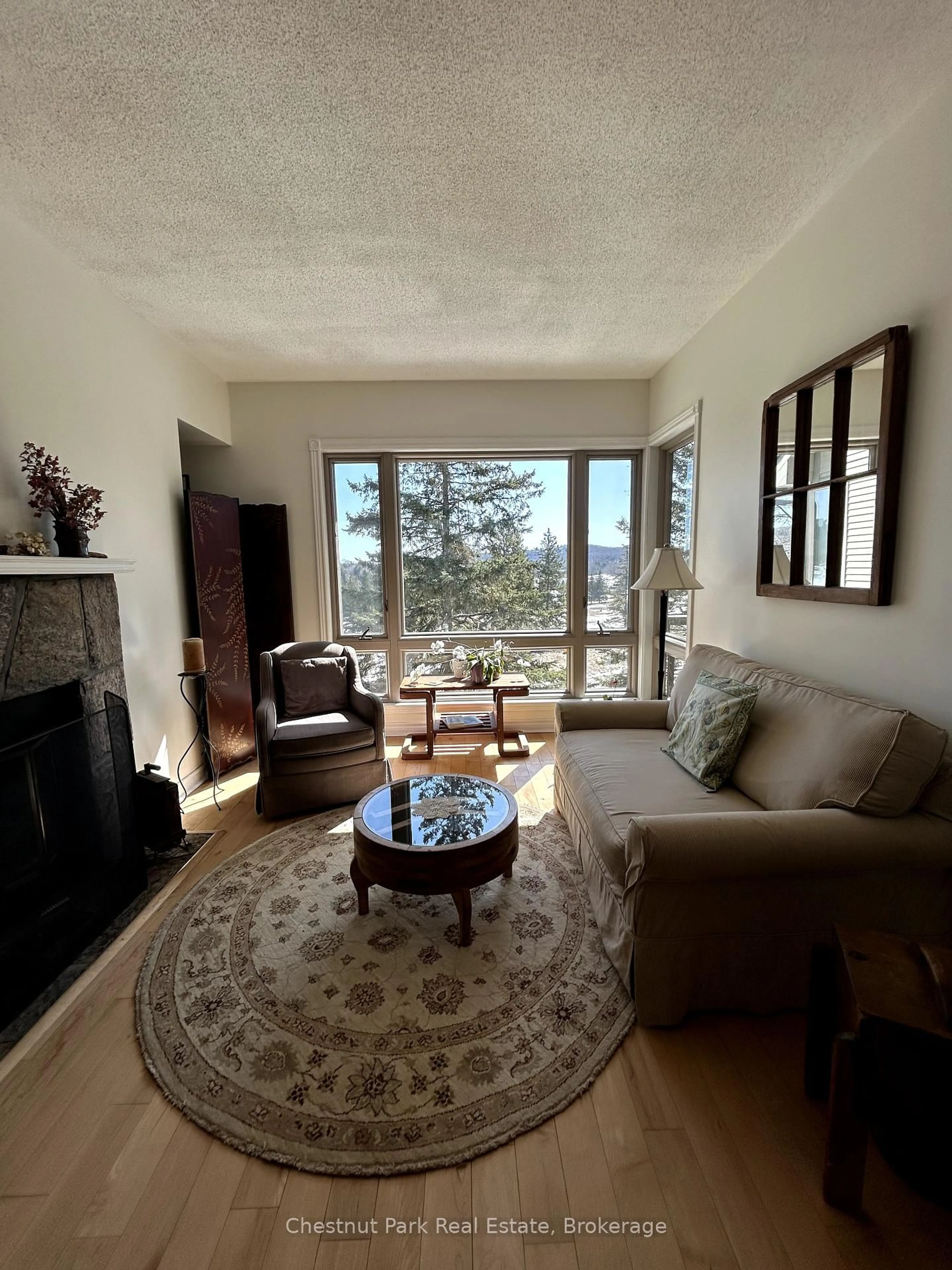 Living room with furniture, unknown for 3421 Grandview Forest Dr #5, Huntsville Ontario P1H 2J5