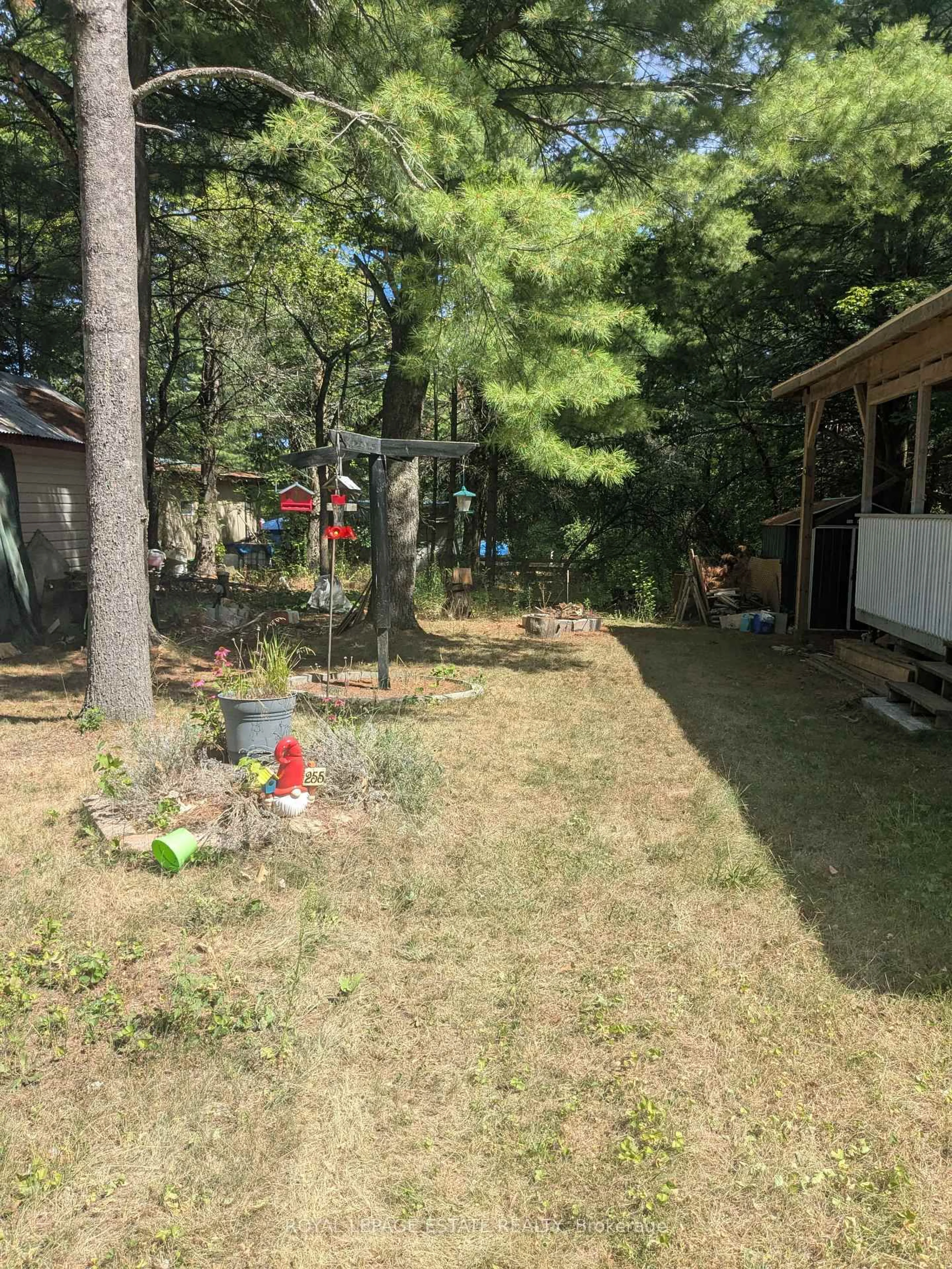 A pic from outside/outdoor area/front of a property/back of a property/a pic from drone, forest/trees view for 255 Pinnacle Hill Rd, Alnwick/Haldimand Ontario K0K 1M0
