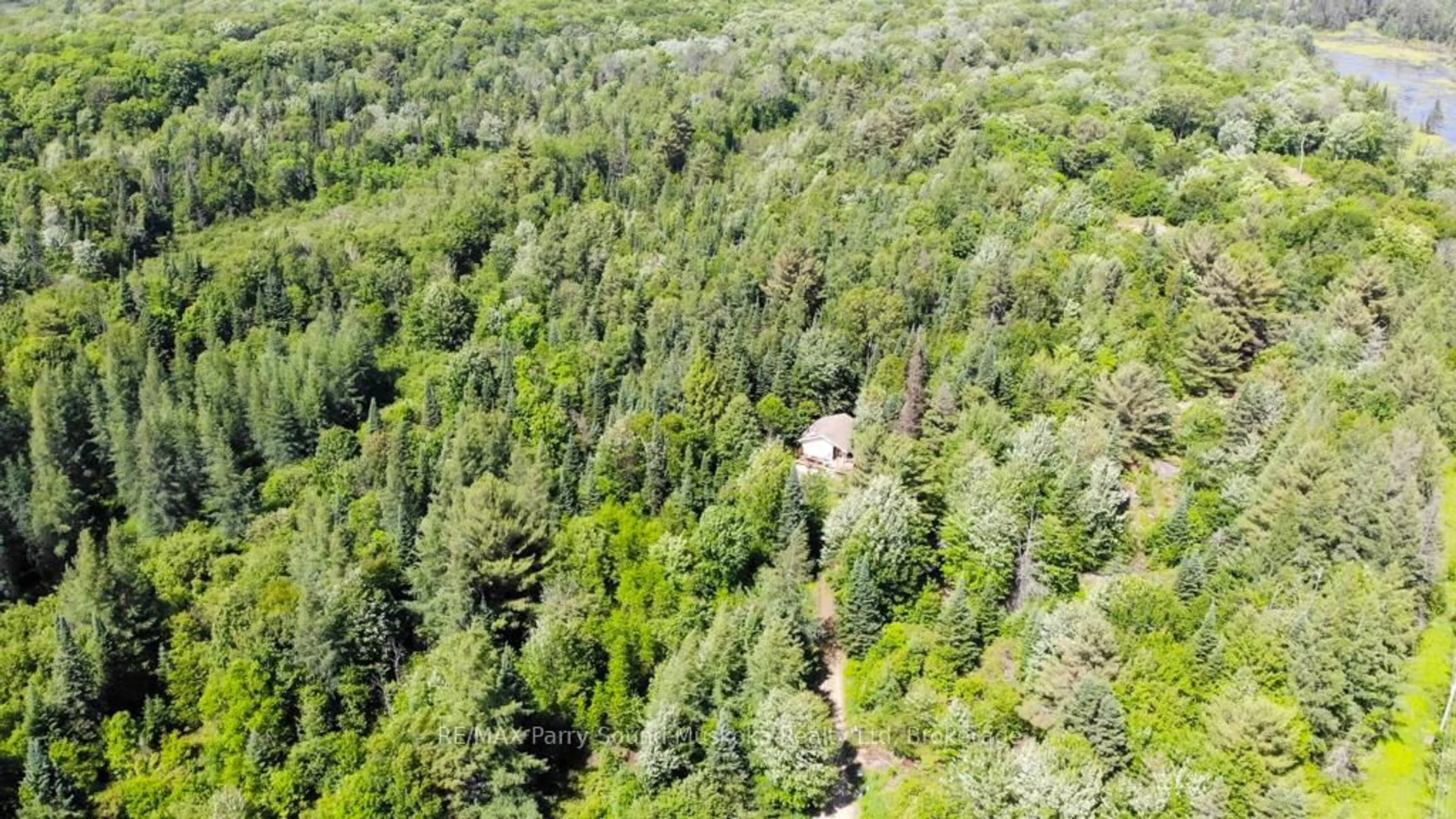 A pic from outside/outdoor area/front of a property/back of a property/a pic from drone, forest/trees view for 17 Ainslie Lake Rd, Whitestone Ontario P0A 1G0