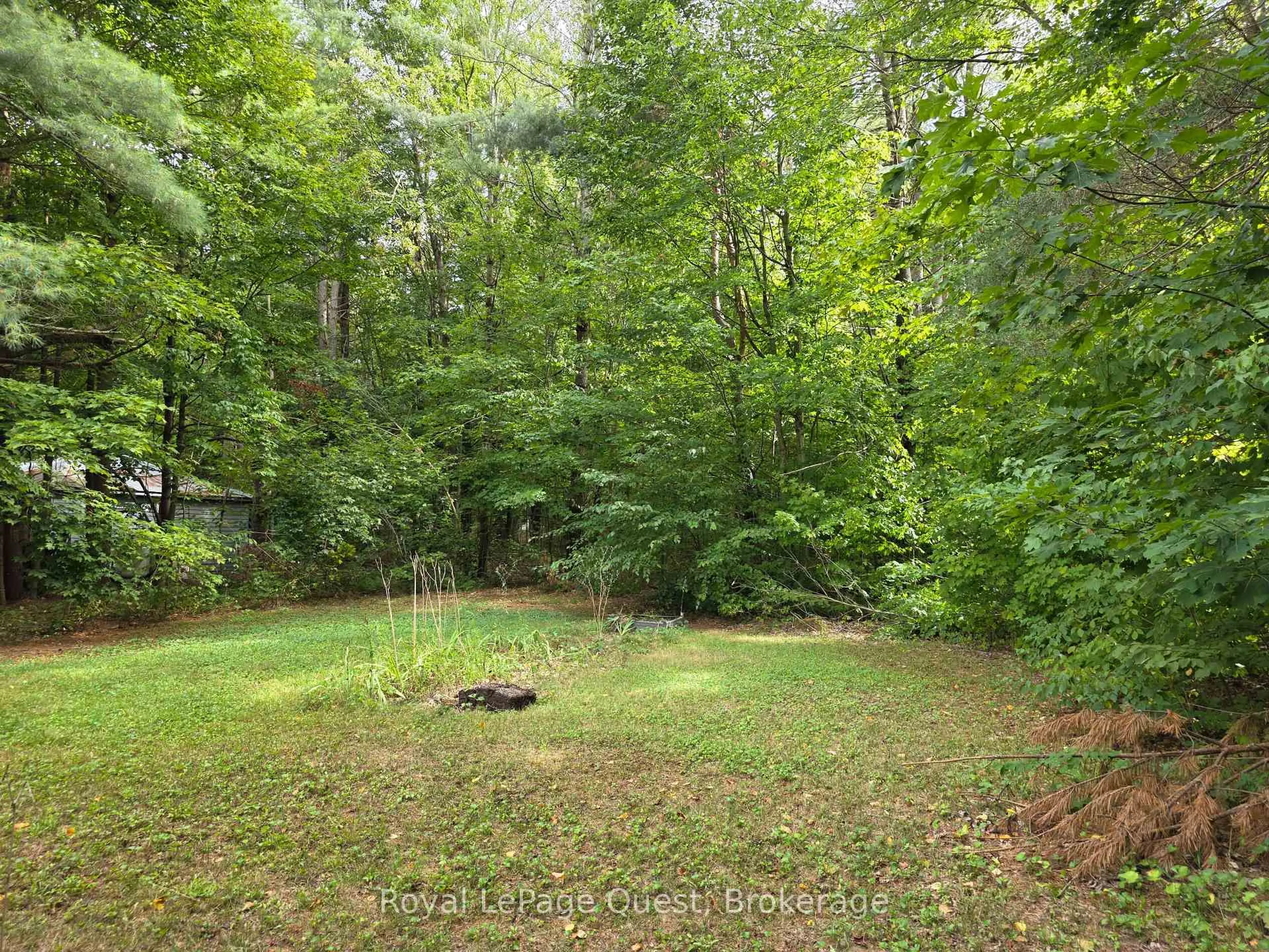 A pic from outside/outdoor area/front of a property/back of a property/a pic from drone, forest/trees view for 1045 Sparrow Lake Rte, Gravenhurst Ontario P0E 1G0
