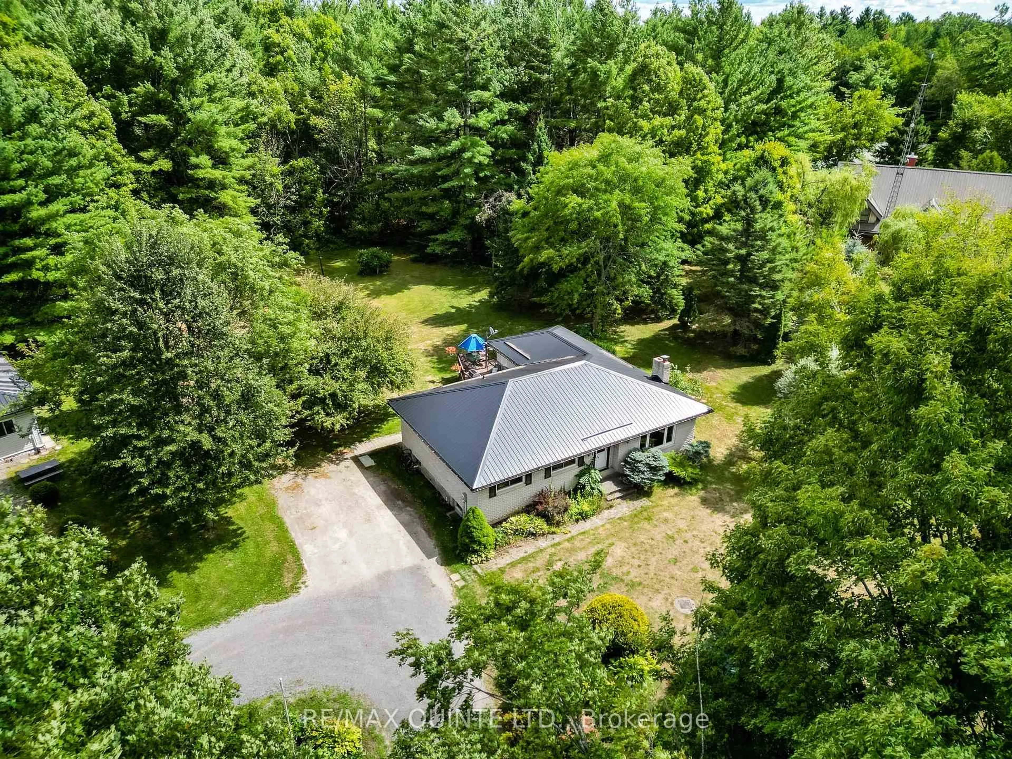 A pic from outside/outdoor area/front of a property/back of a property/a pic from drone, forest/trees view for 12180 HIGHWAY 62, Madoc Ontario K0K 2K0