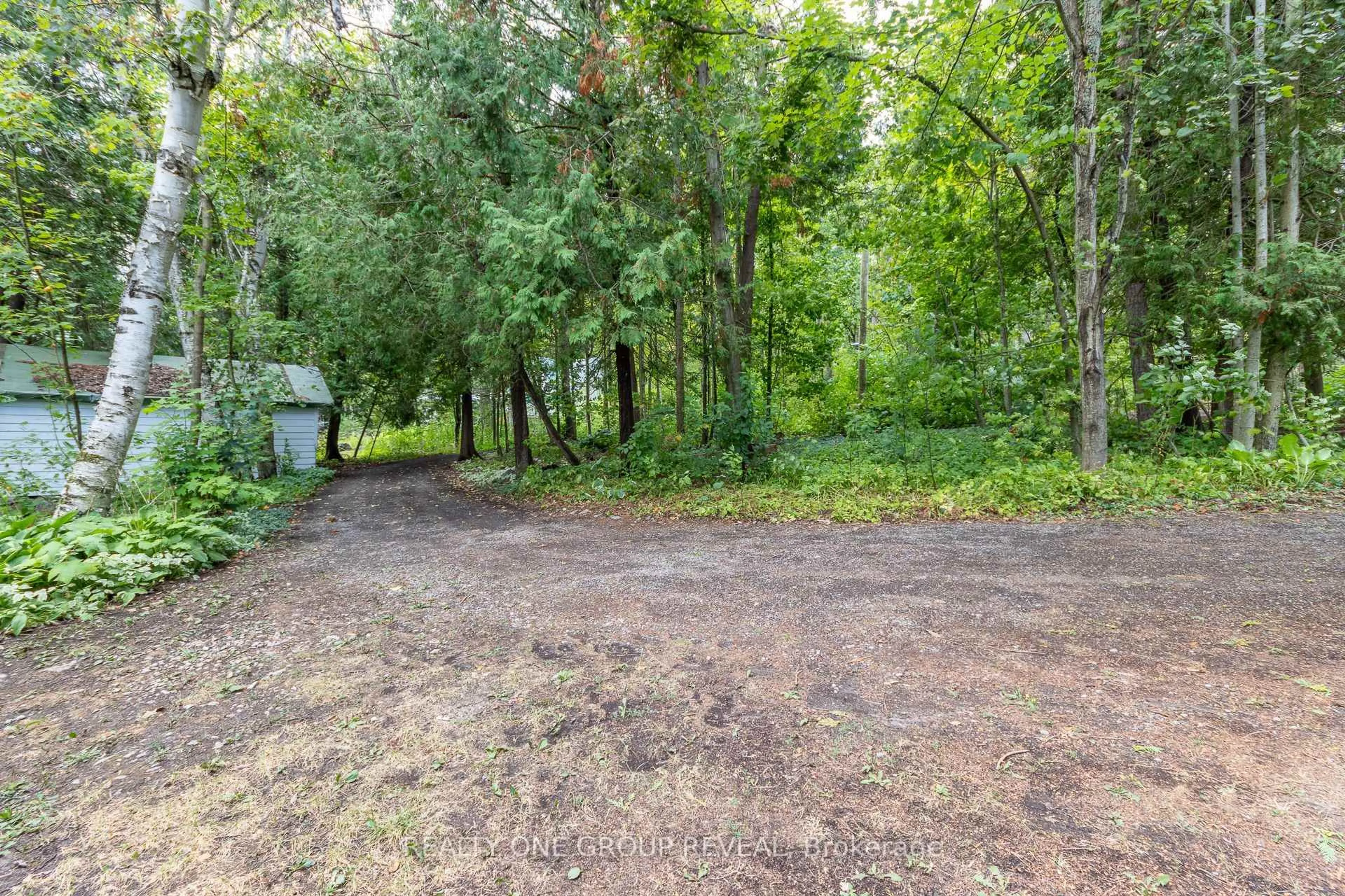 Patio, forest/trees view for 26 Fire Route 128, Trent Lakes Ontario K0M 1A0