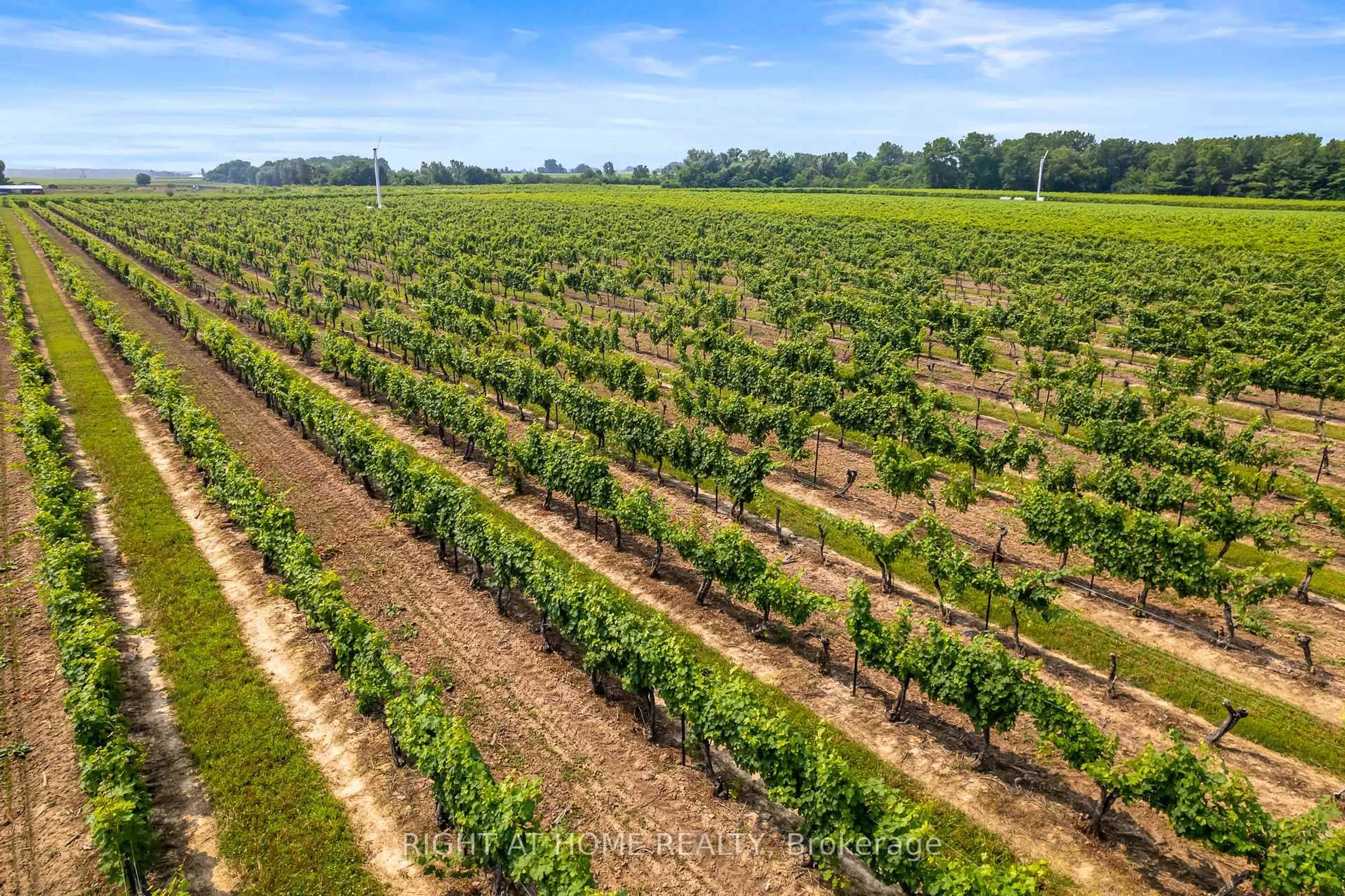 A pic from outside/outdoor area/front of a property/back of a property/a pic from drone, forest/trees view for 80 Loretta Dr, Niagara-on-the-Lake Ontario L0S 1T0